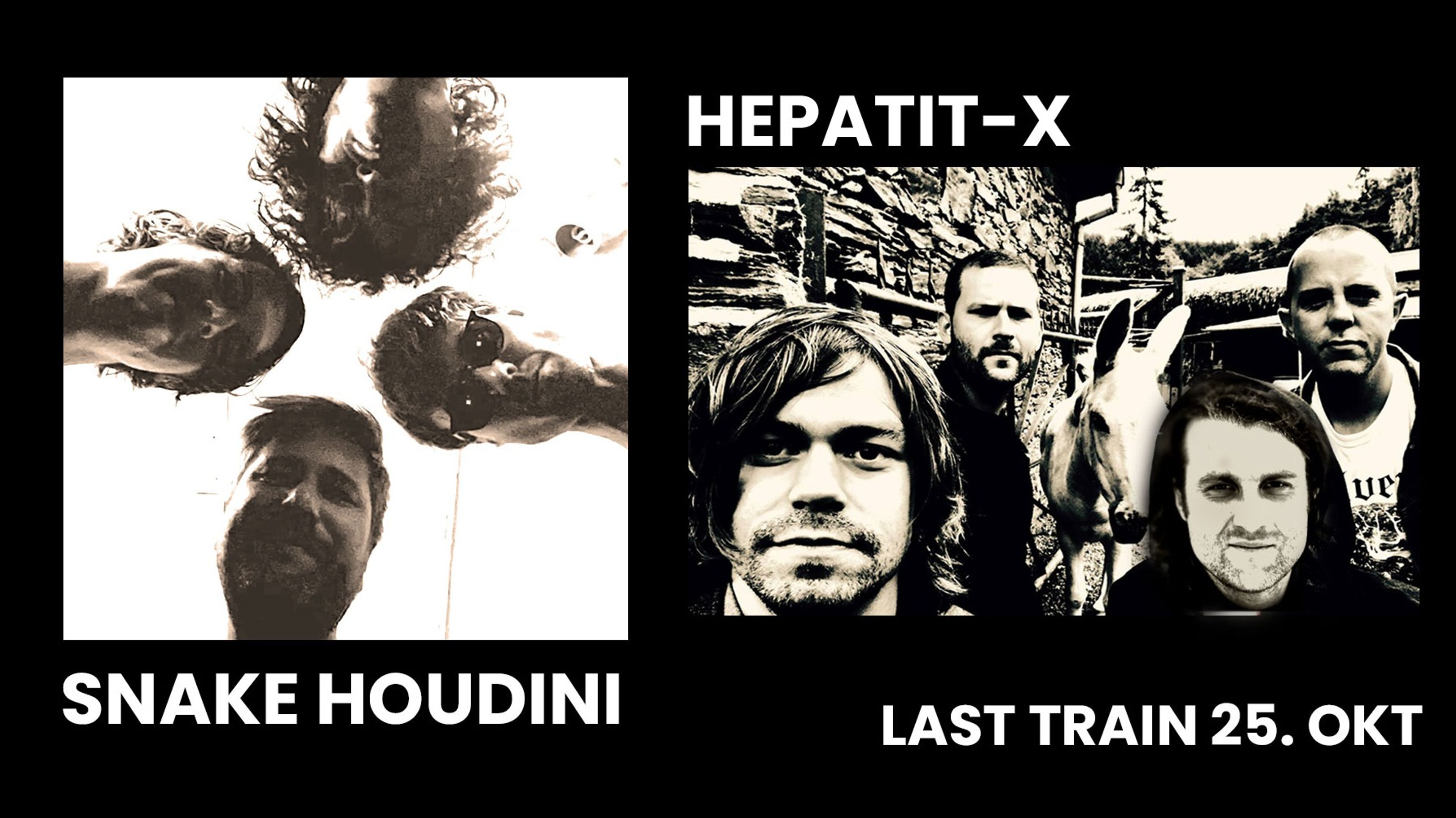 Promotional graphic for Snake Houdini og Hepatit-x