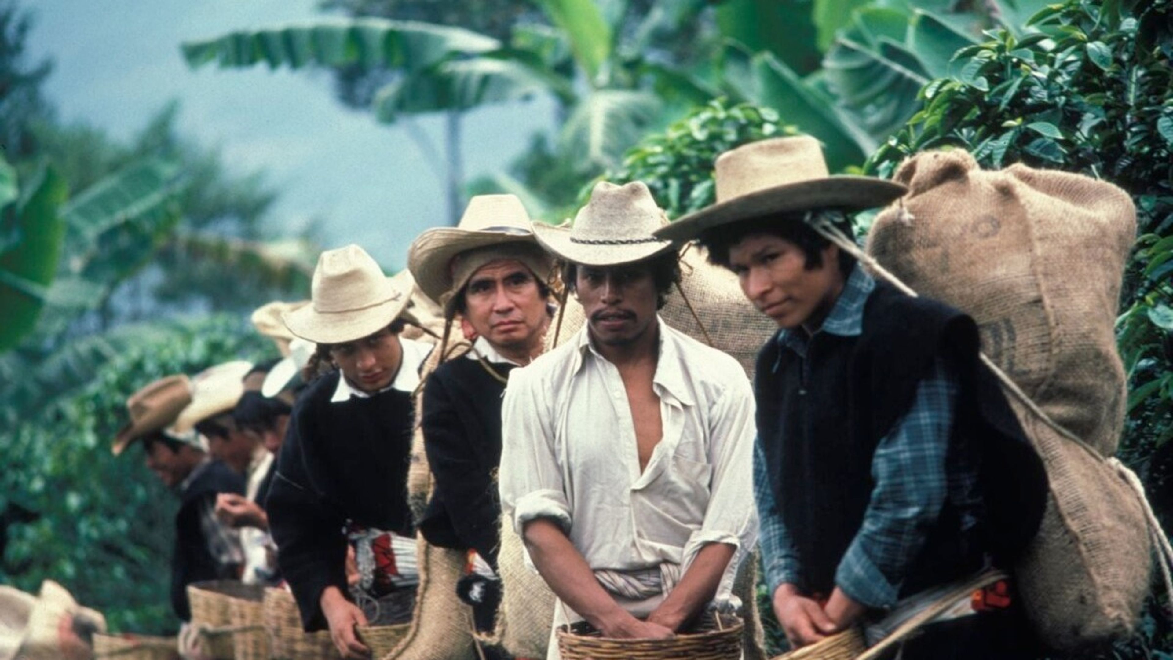 Promotiv grafikk for Film: El Norte