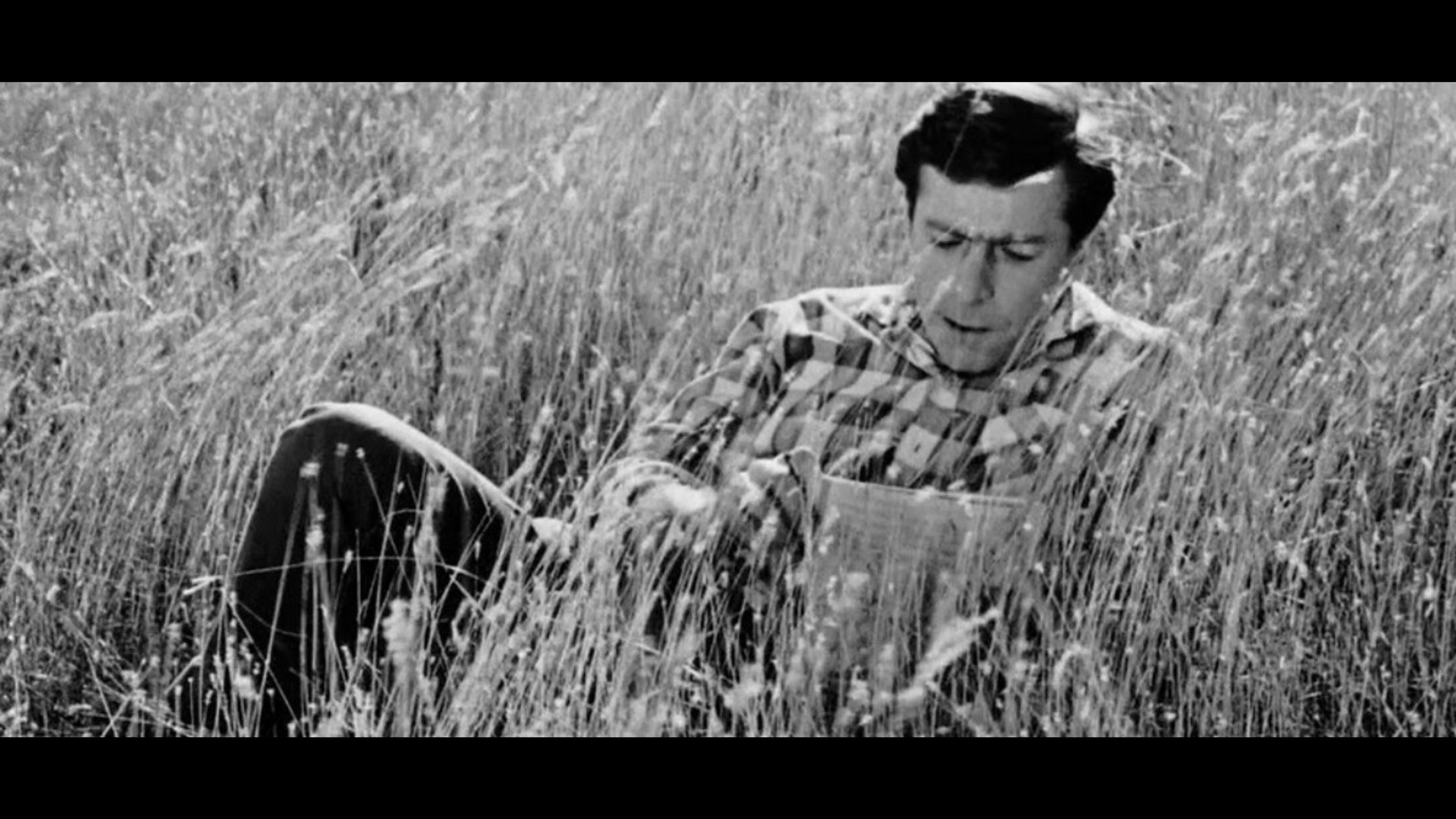 Promotiv grafikk for Film: once upon a time there was a singing blackbird20