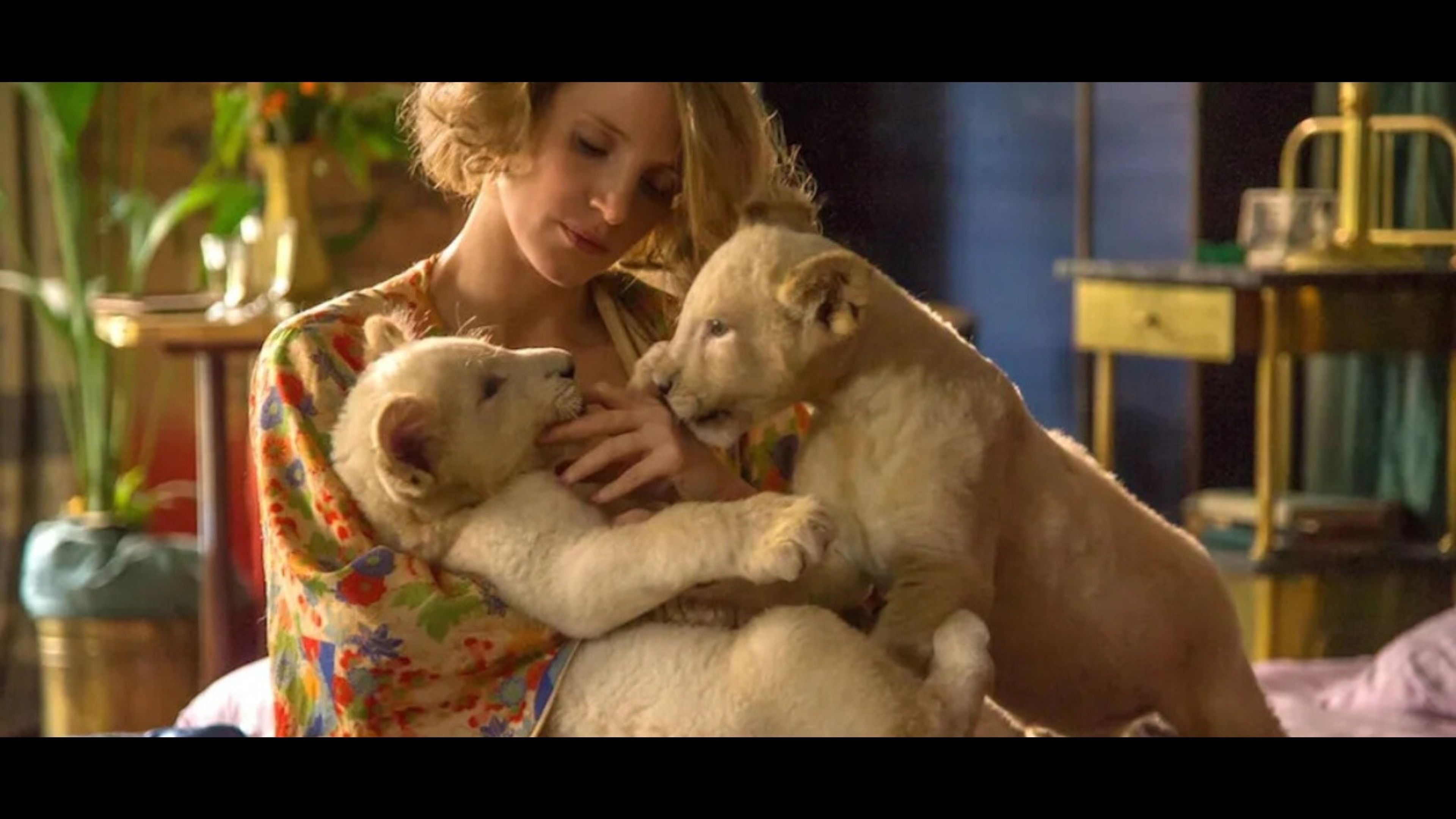 Promotiv grafikk for Film: The Zookeeper's Wife