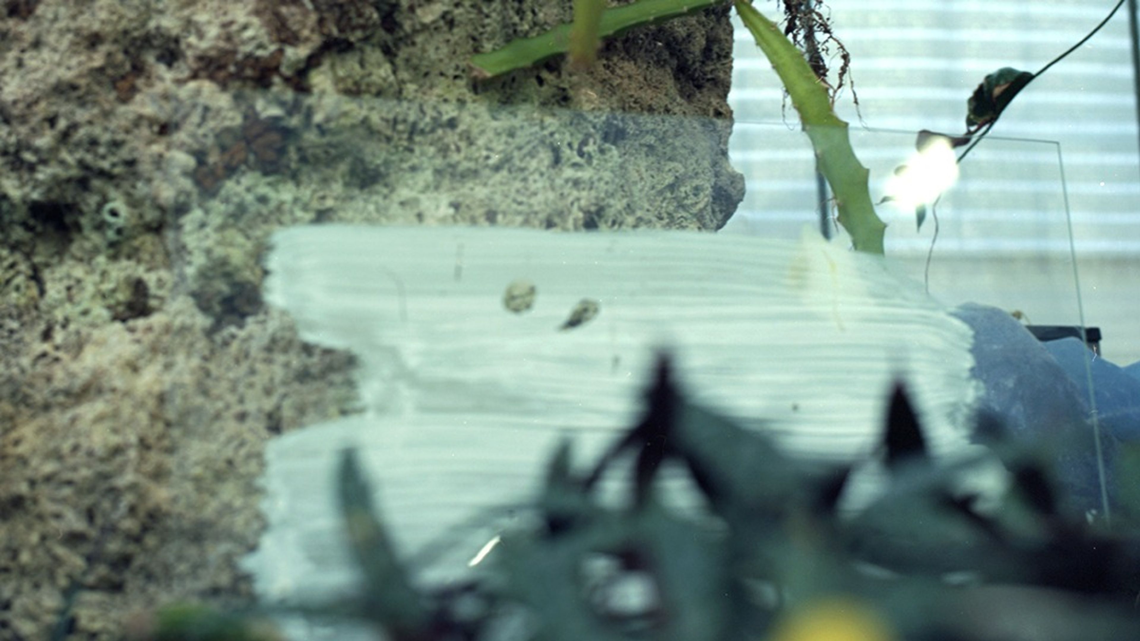 Promotiv grafikk for Utstillingsåpning: Vilde Salhus Røed & Klara Ludvigsen