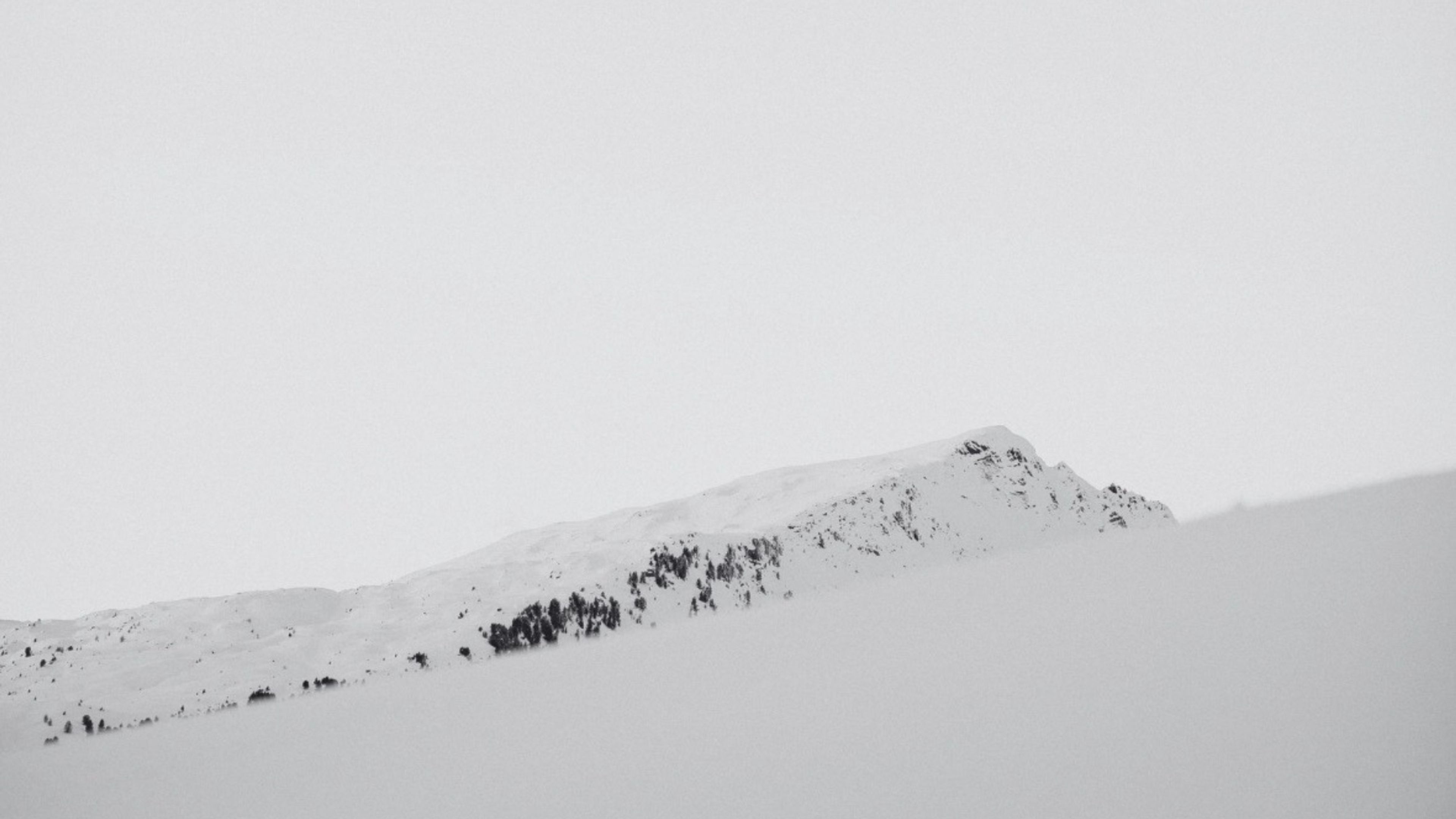 Promotiv grafikk for BIT20 Ensemble: Schnee
