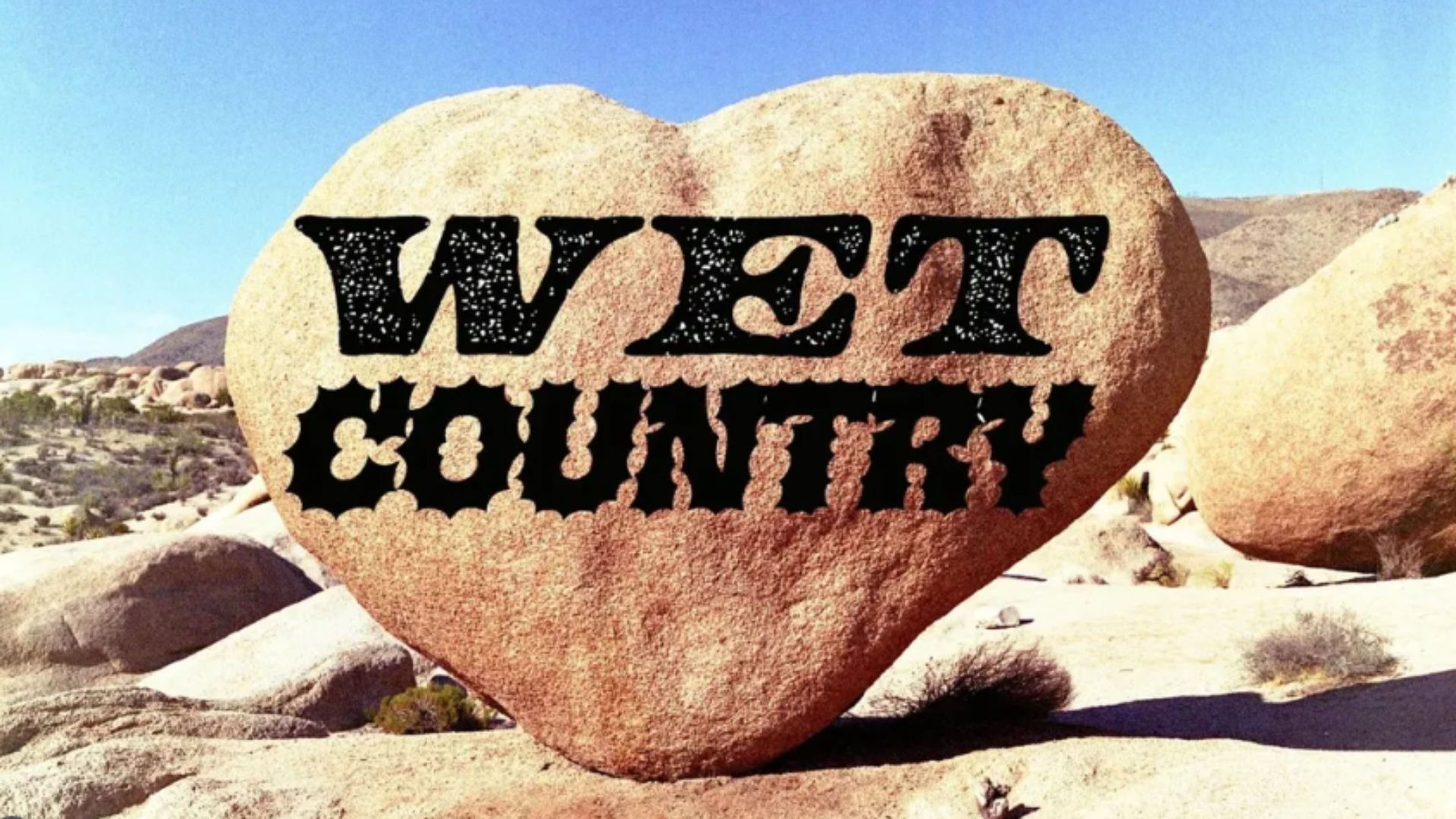 Promotiv grafikk for Wet Country Line dance party