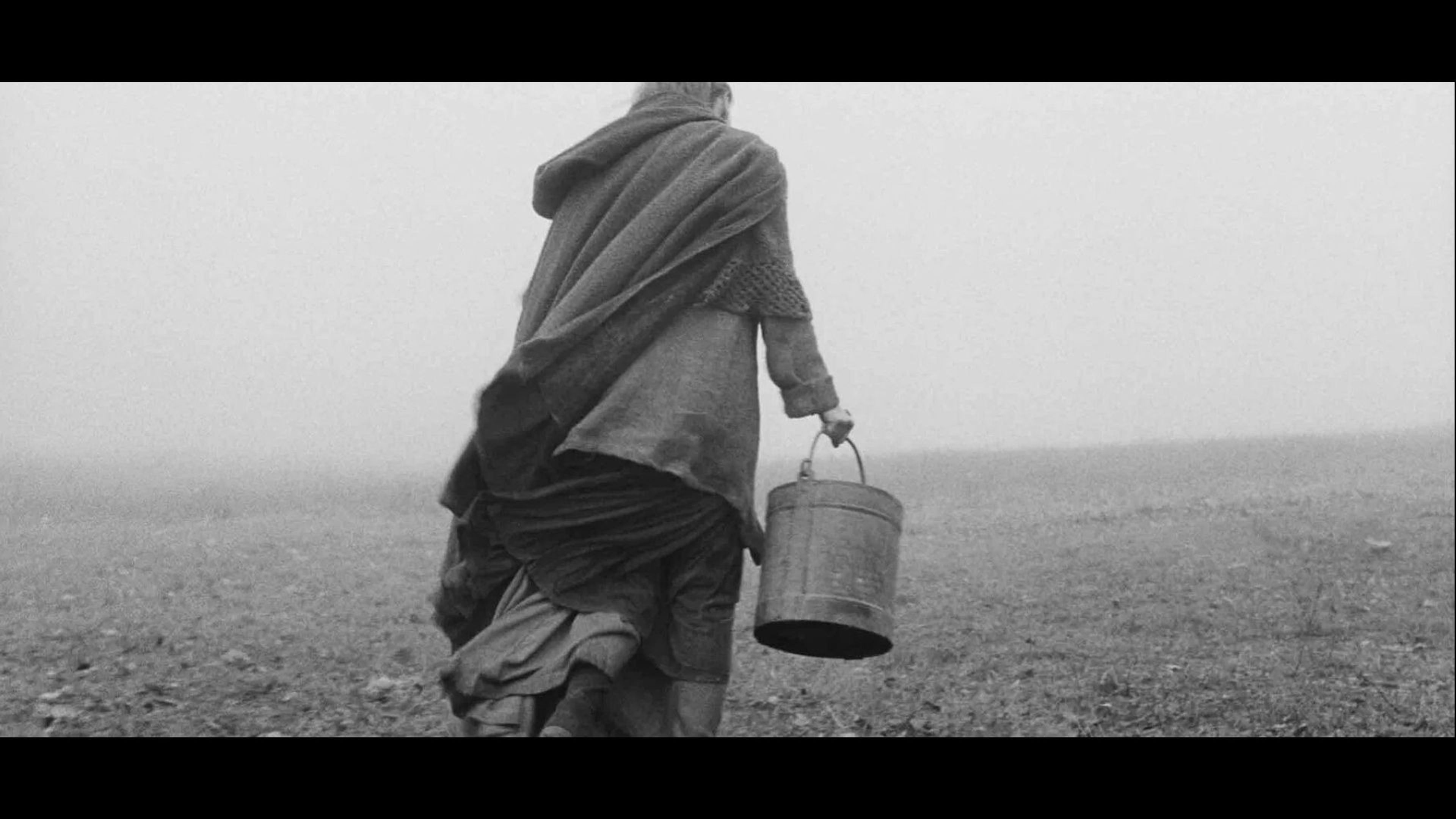 Promotiv grafikk for Film: The Turin Horse