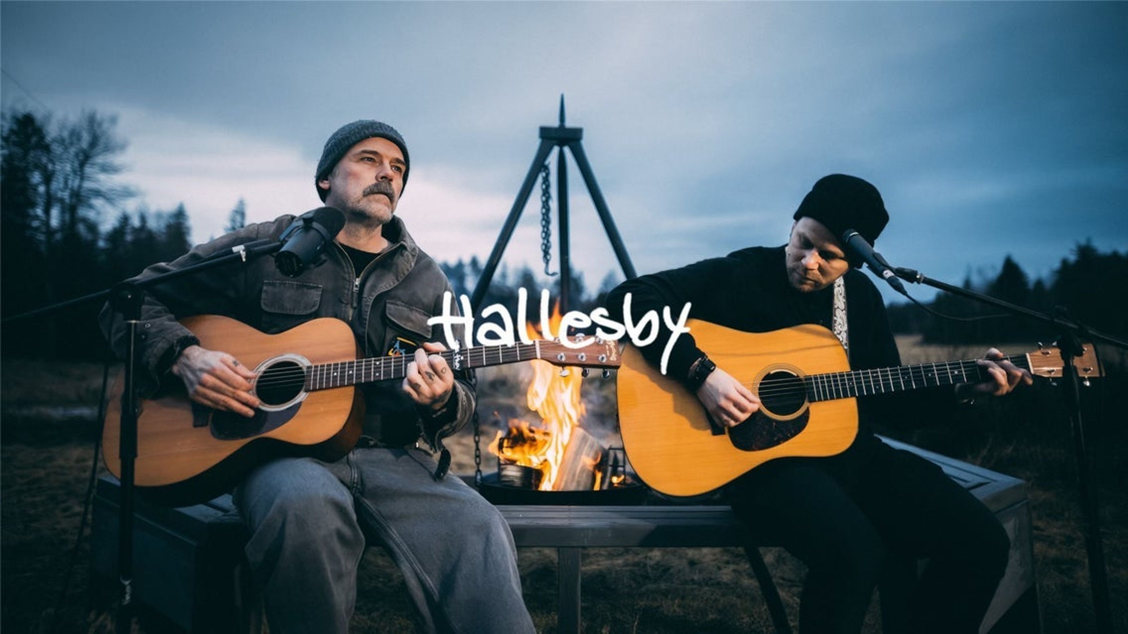 Promotional graphic for Hallesby