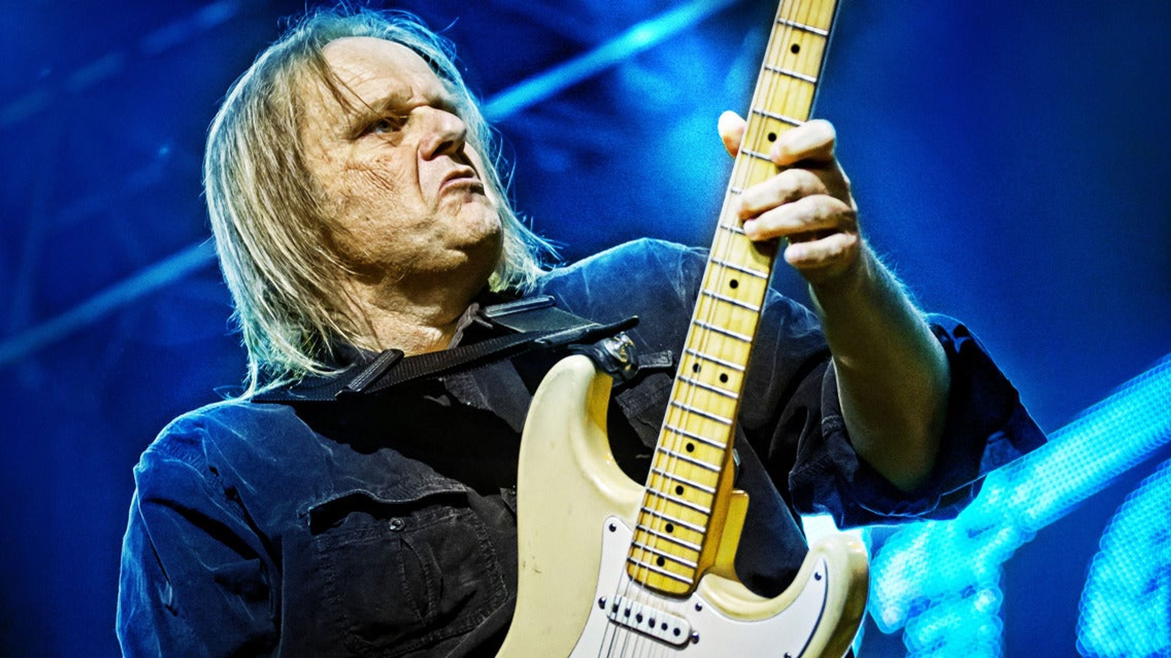 Promotiv grafikk for Walter Trout