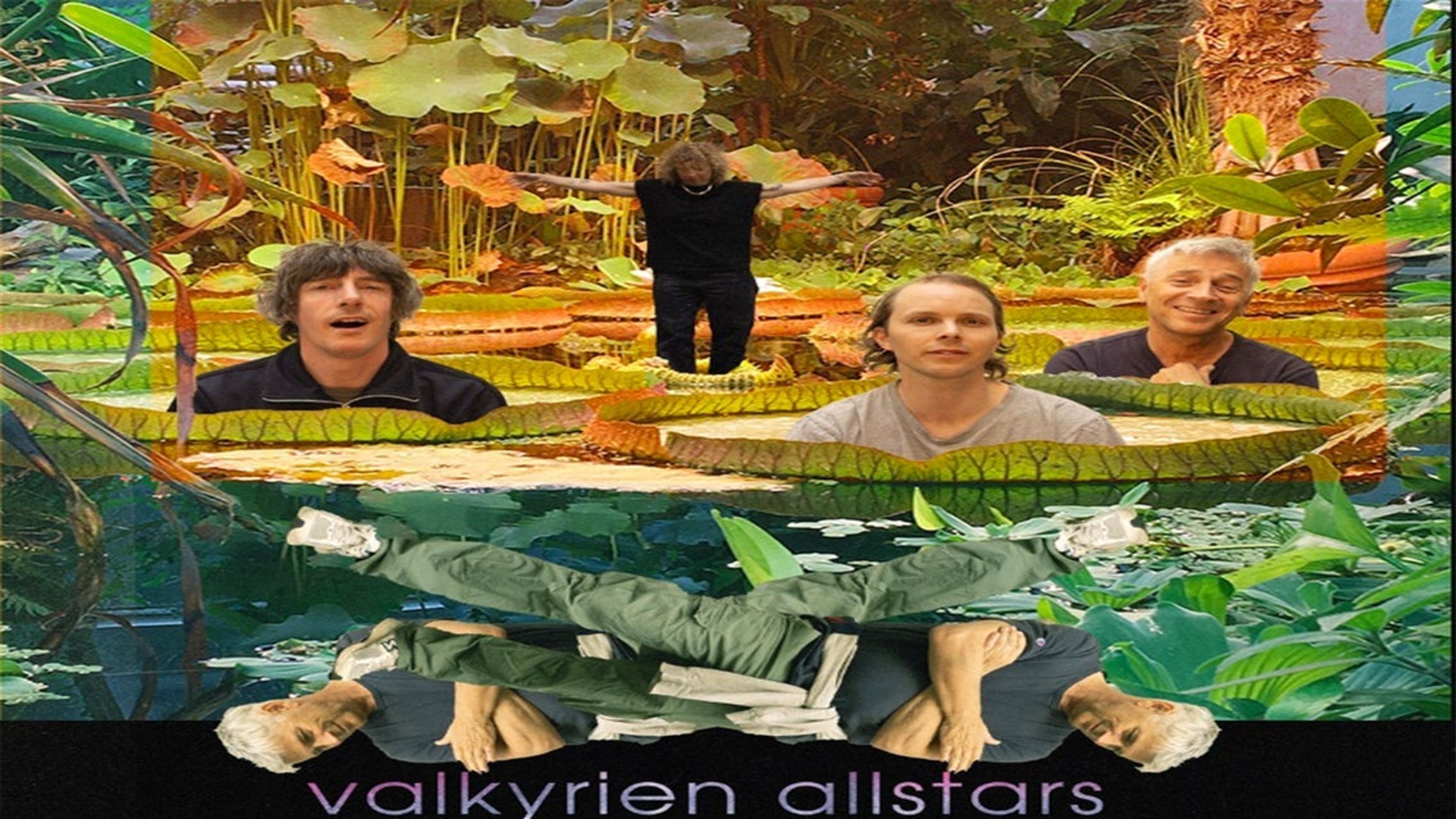 Promotional graphic for Valkyrien Allstars