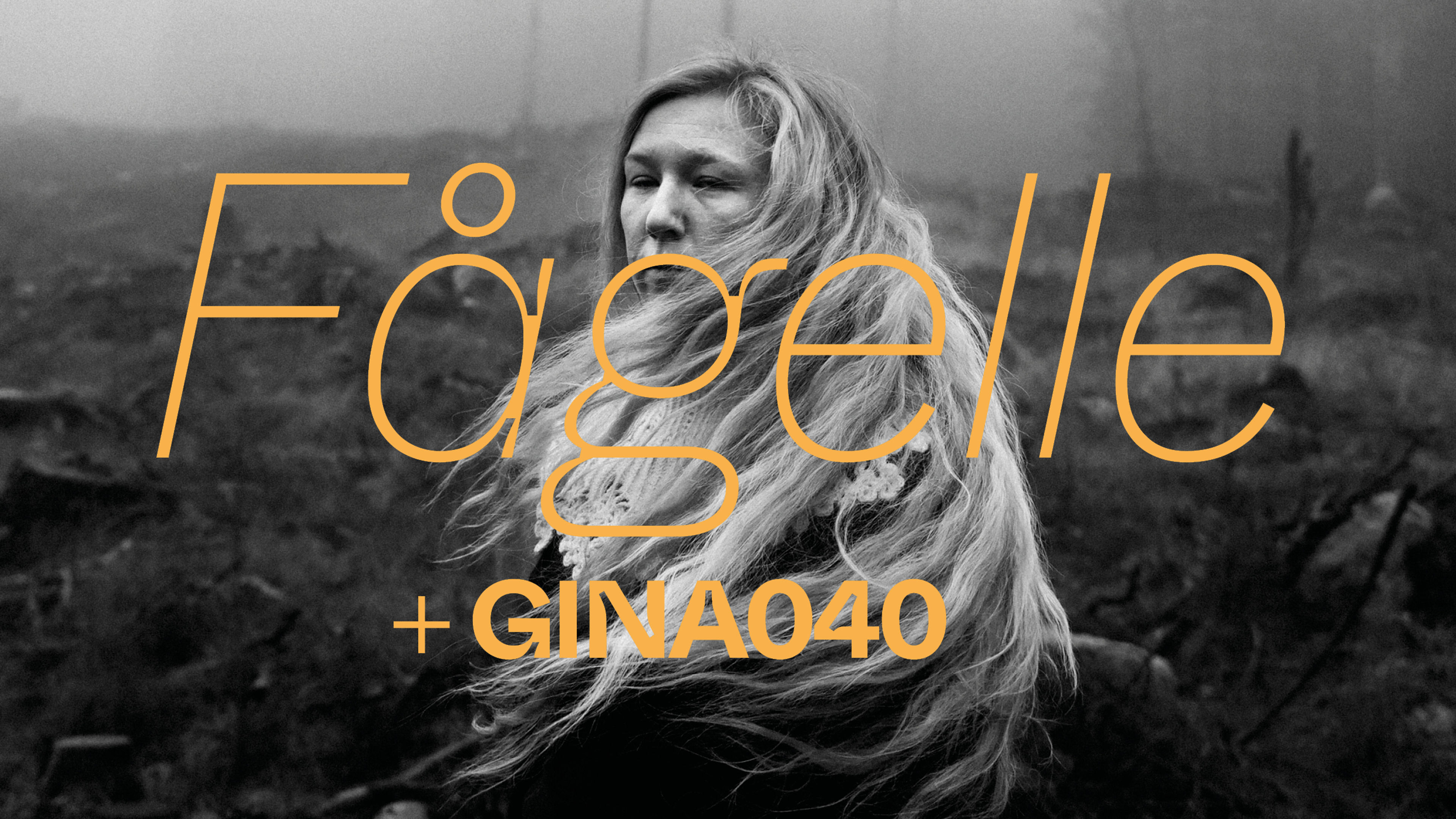 Promotional graphic for Fågelle + GINA040