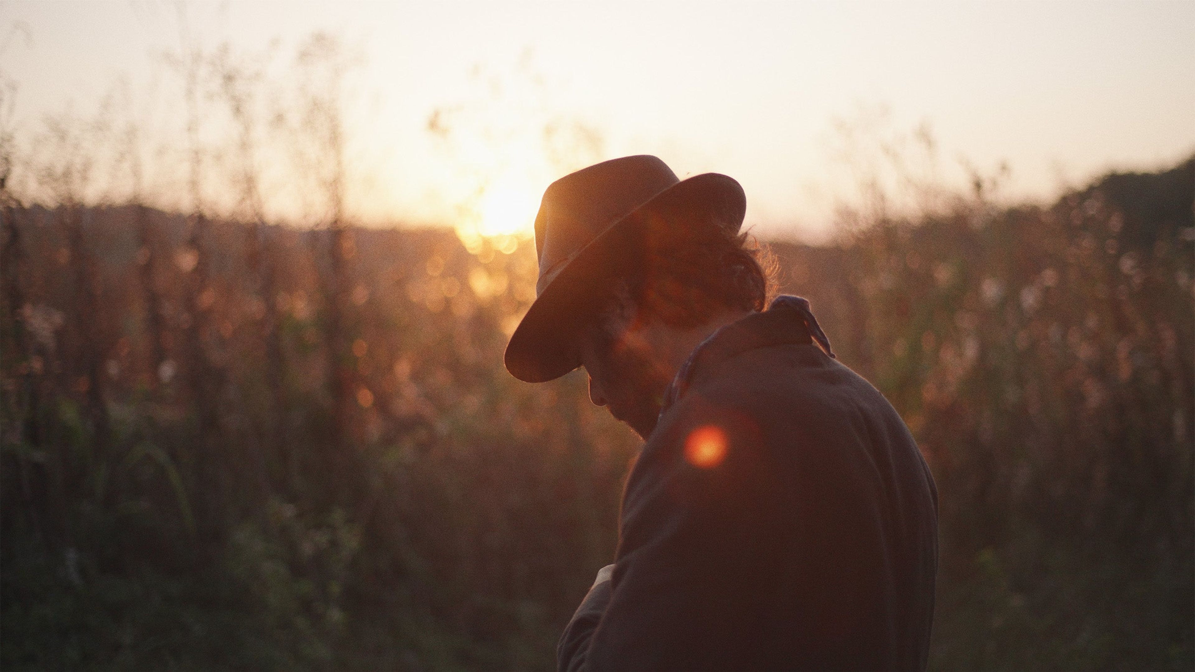 Promotional graphic for Federico Albanese