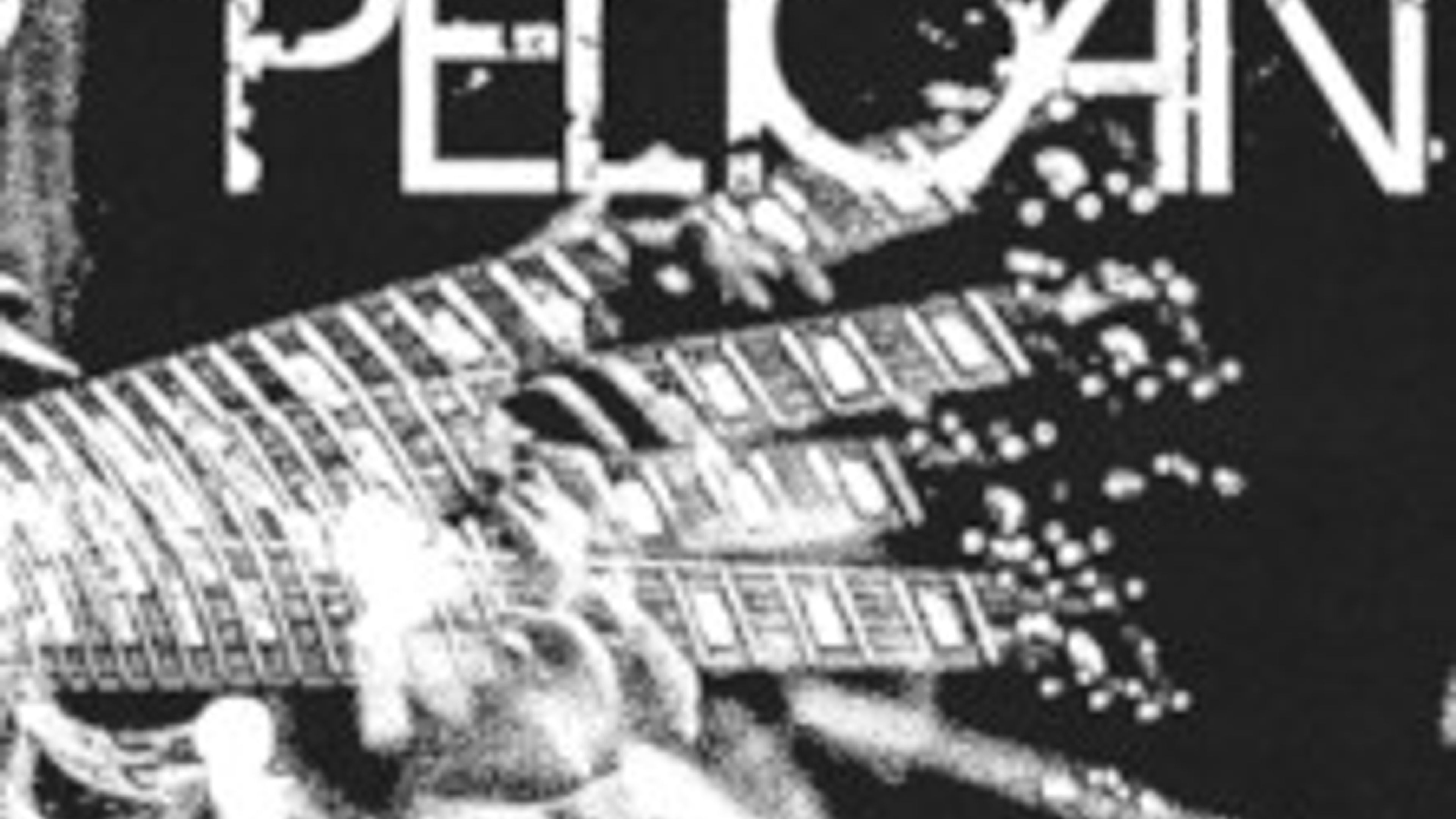 Promotional graphic for Pelican (US)
