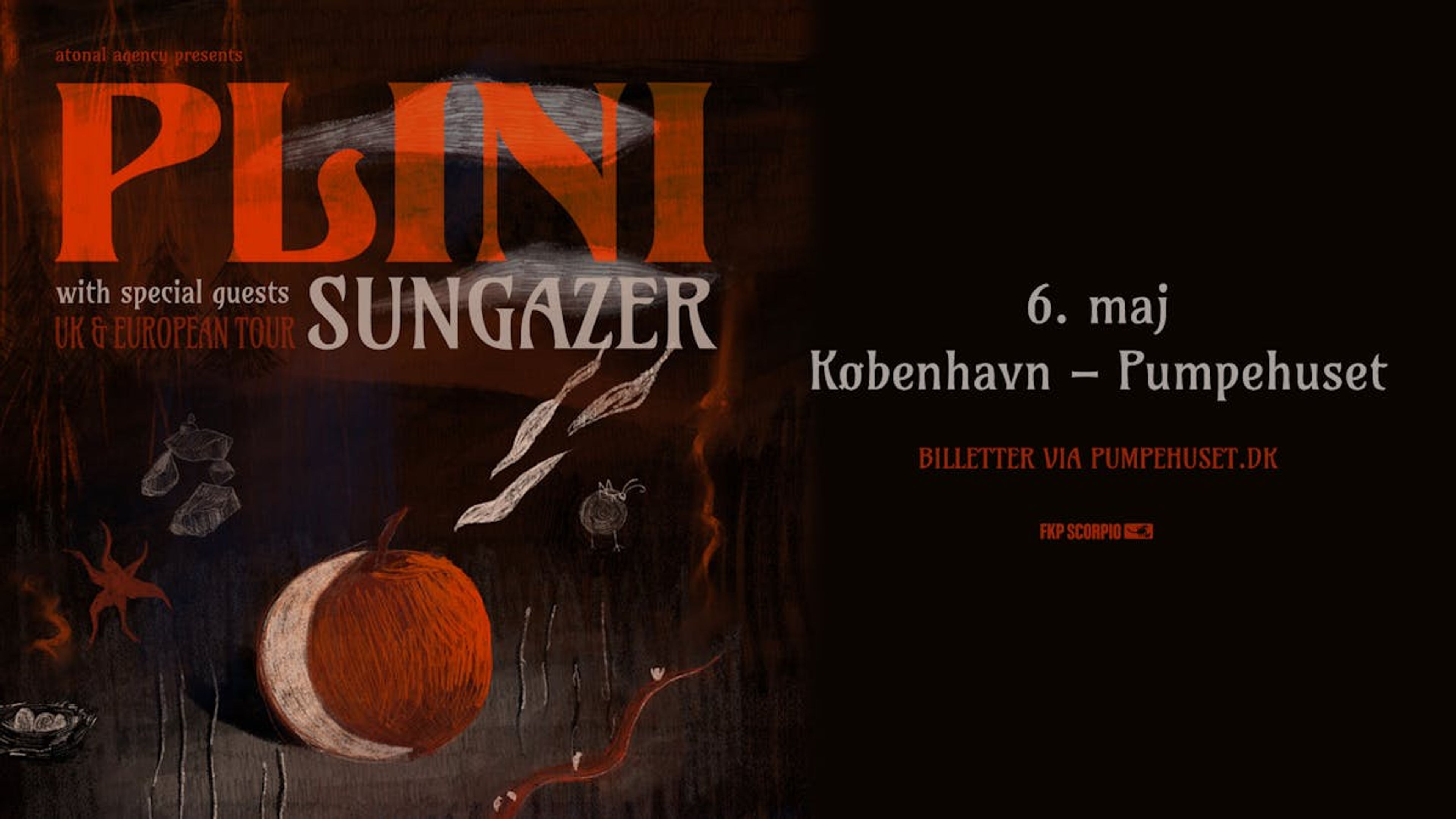 Promotional graphic for Plini with very special guest Sungazer // Pumpehuset 