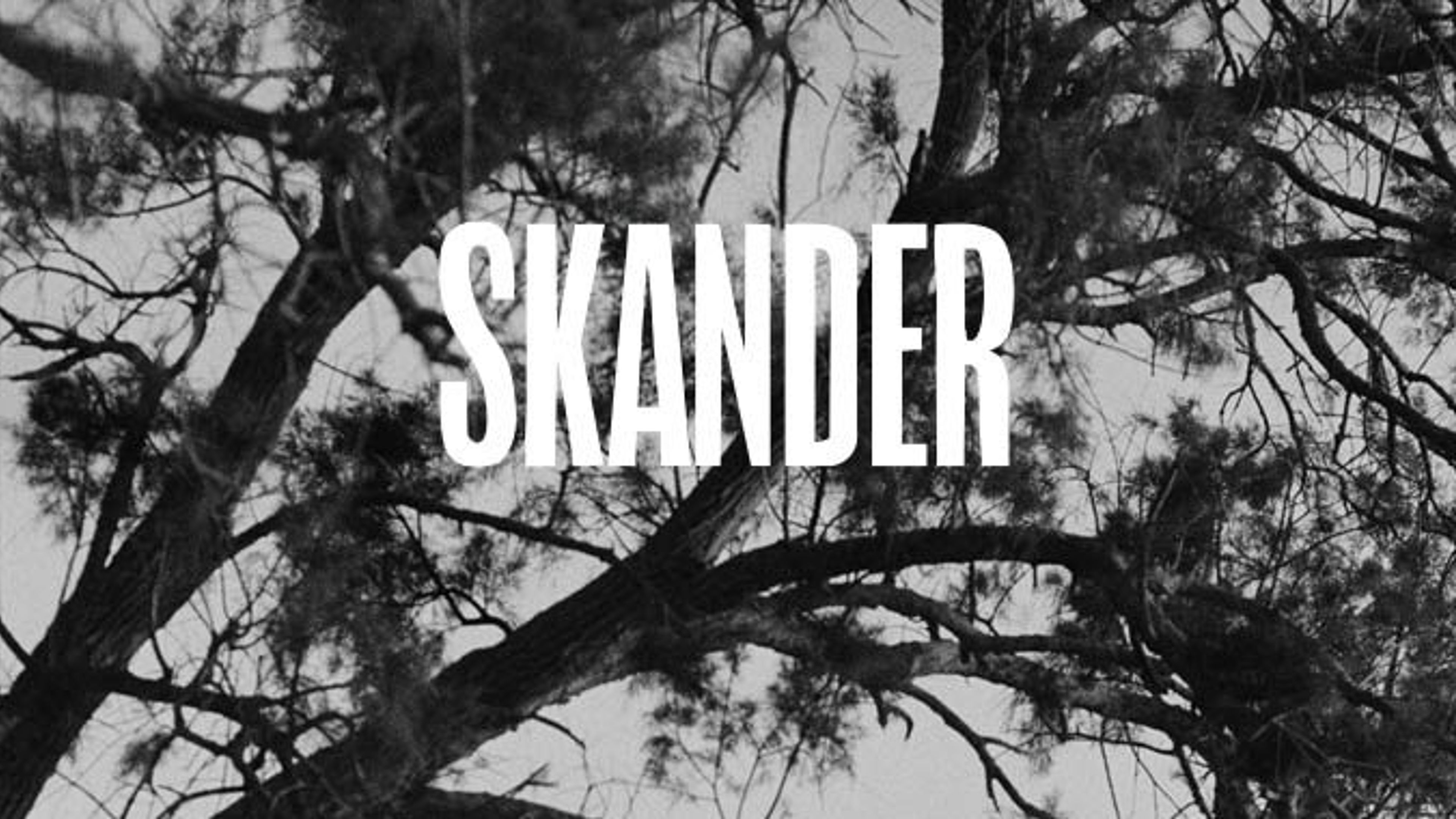 Promotional graphic for Skander