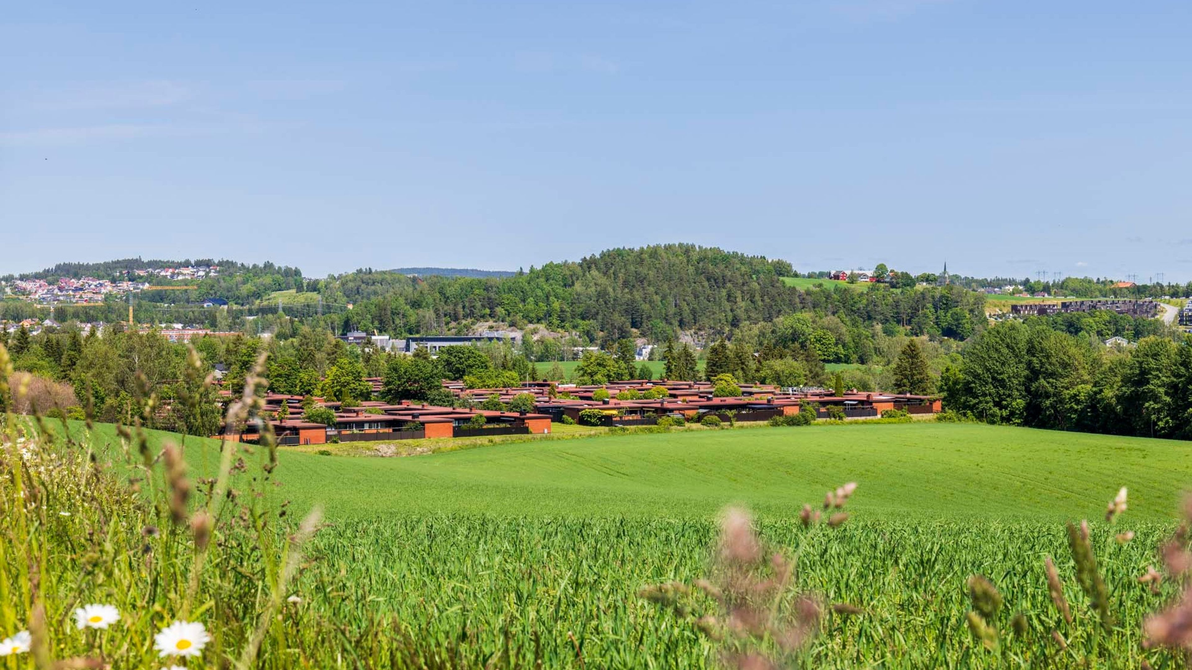 Solvangen 36
