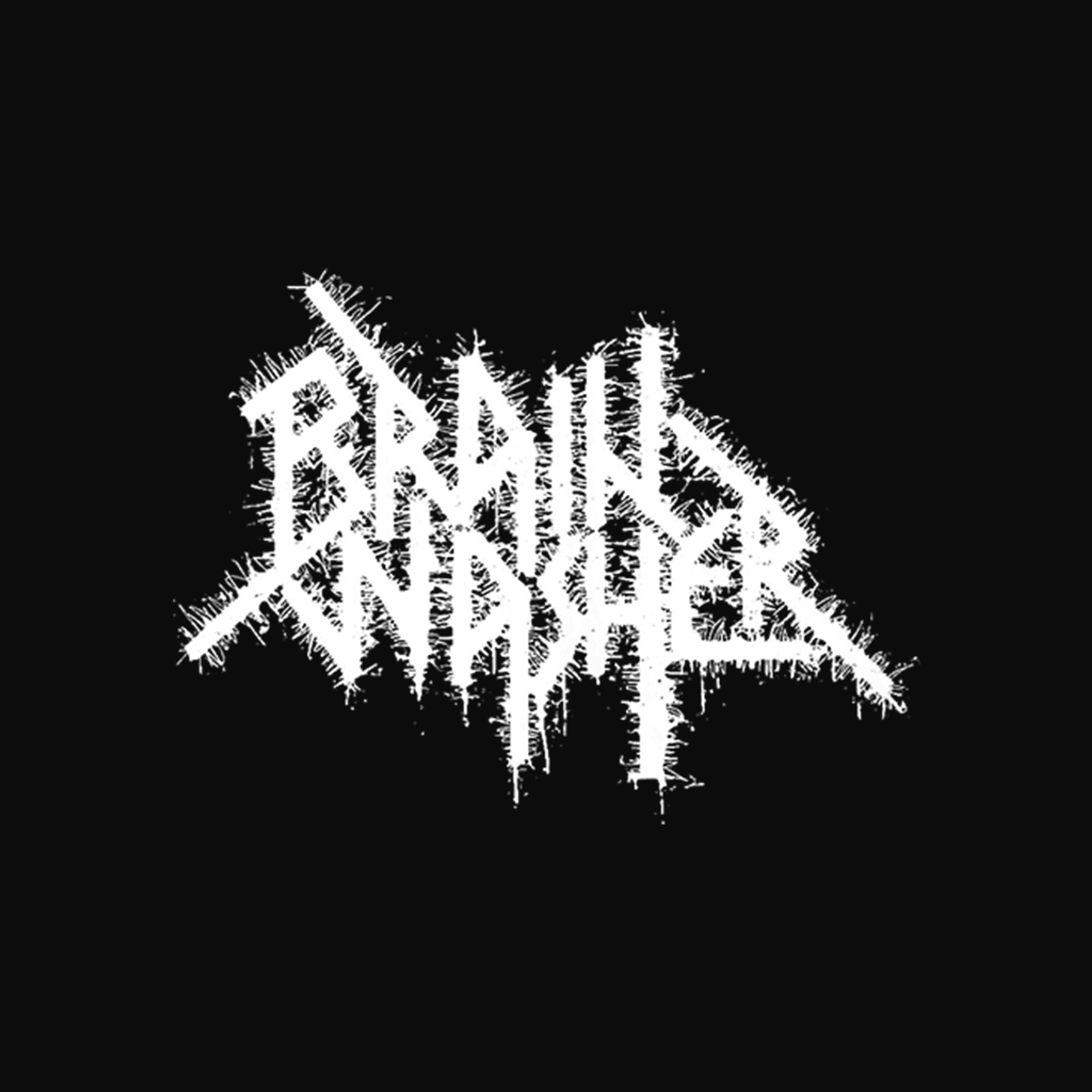 Brainwasher