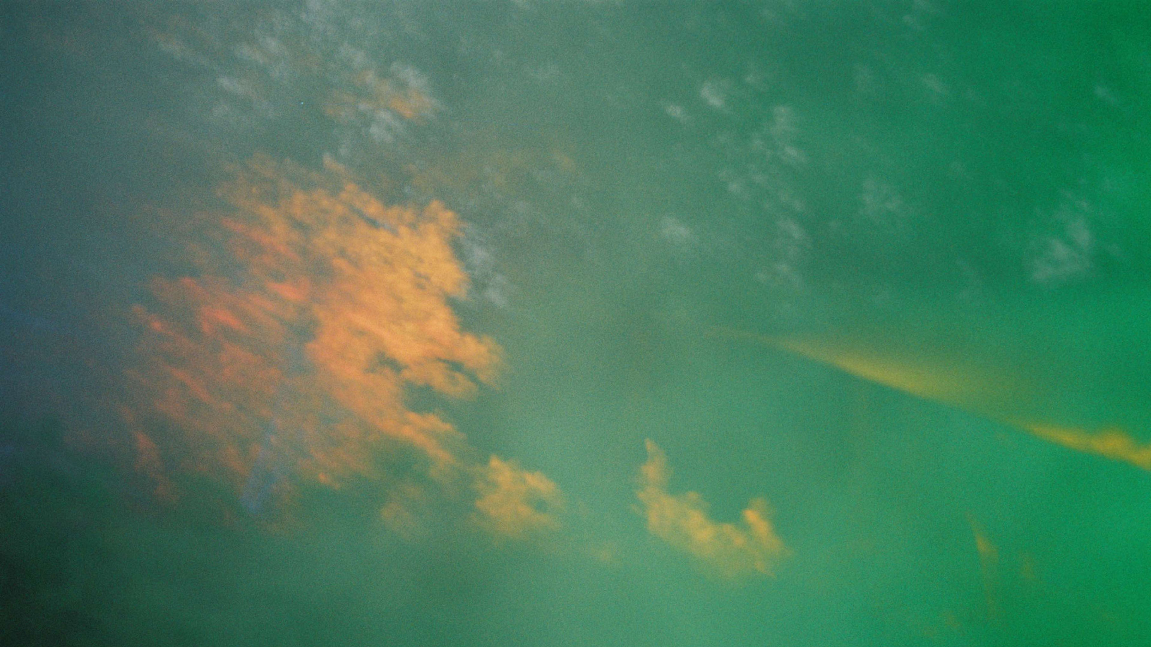 Promotional graphic for Down The Line Dandelion // Support: Lars Møll