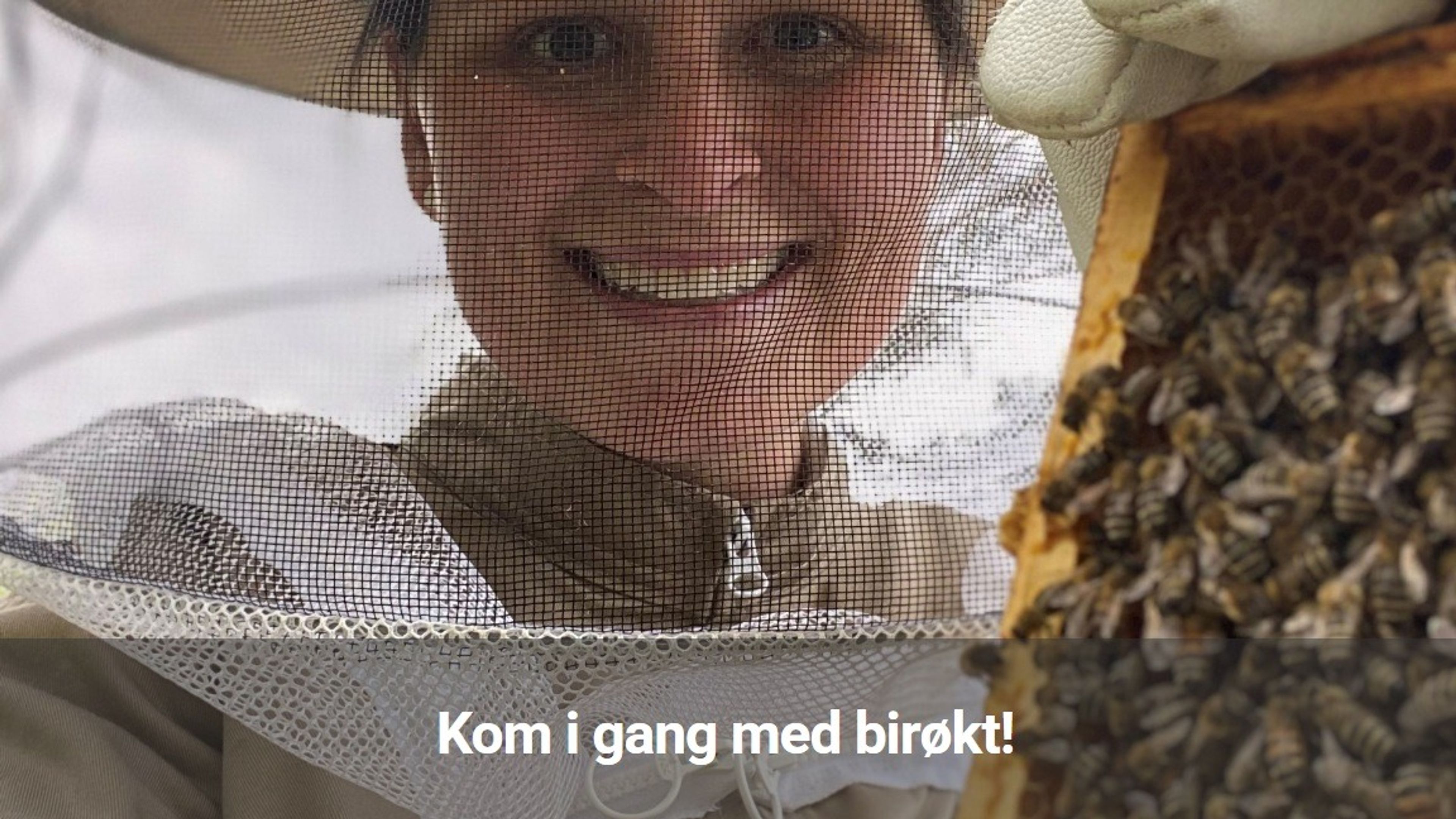 Promotional graphic for Foredrag: Kom i gang med birøkt! // Bærum Bibliotek Fornebu