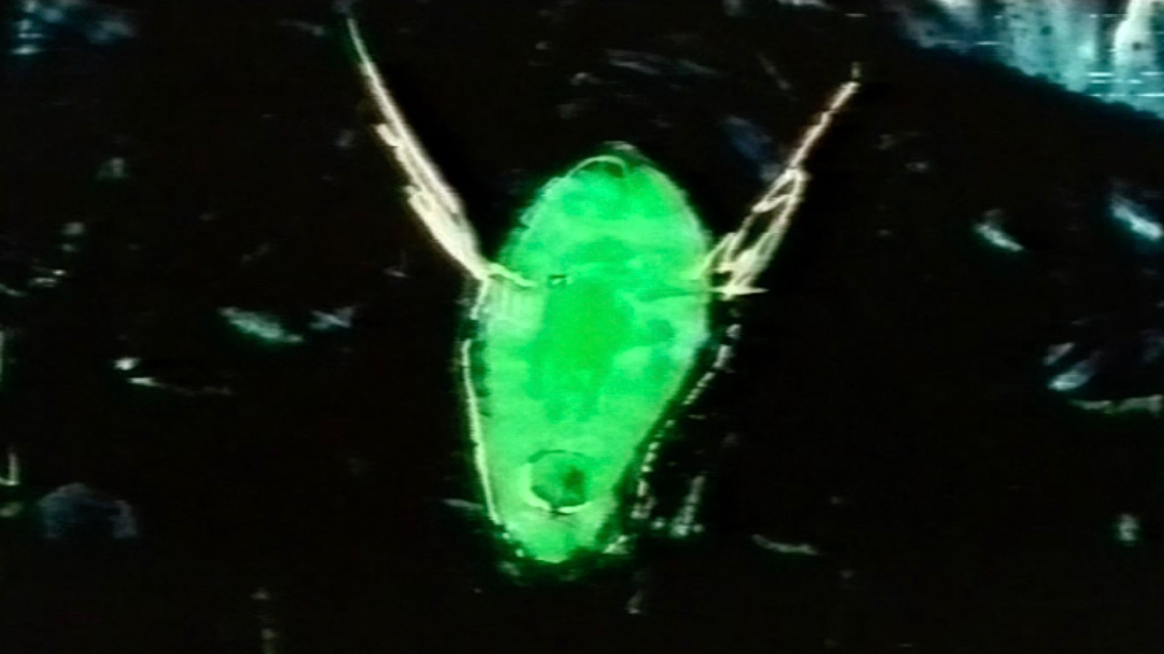 Promotional graphic for LAND&FRIHET+Guttorm Nordø+Tore H. Bøe