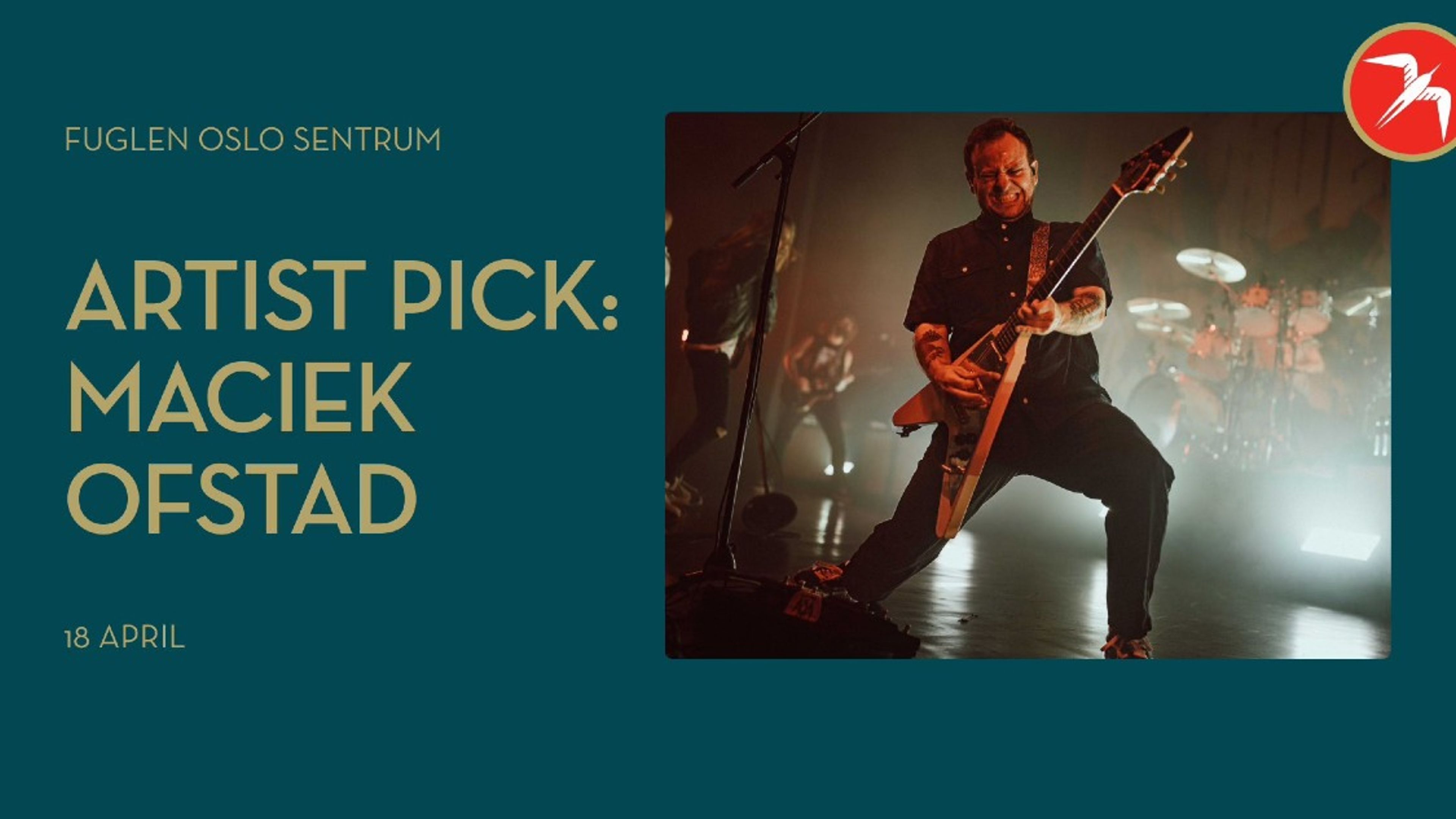 Promotional graphic for Artist Pick: Maciek Ofstad 