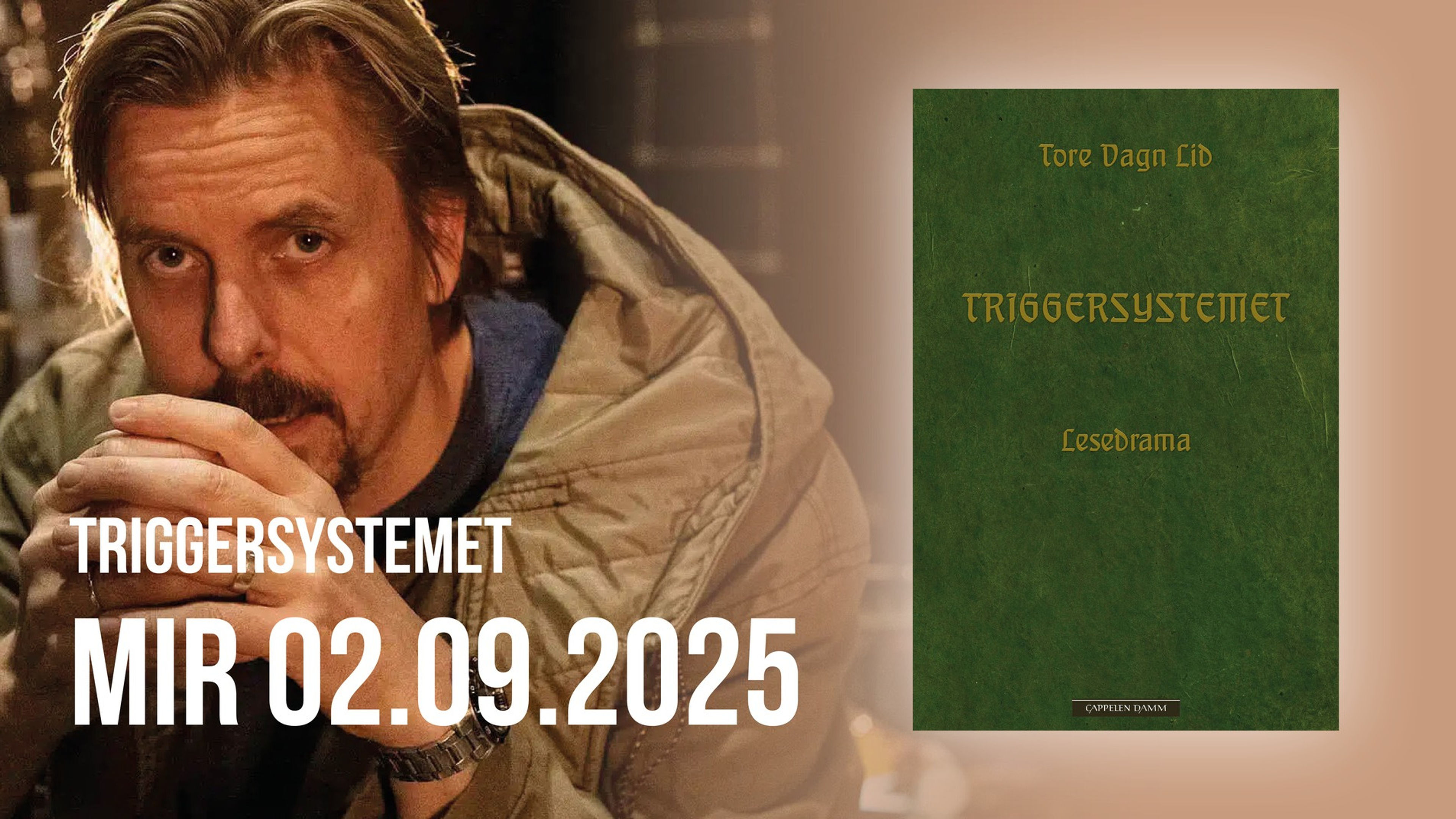 Promotional graphic for Bokslipp: «Triggersystemet» av Tore Vagn Lid