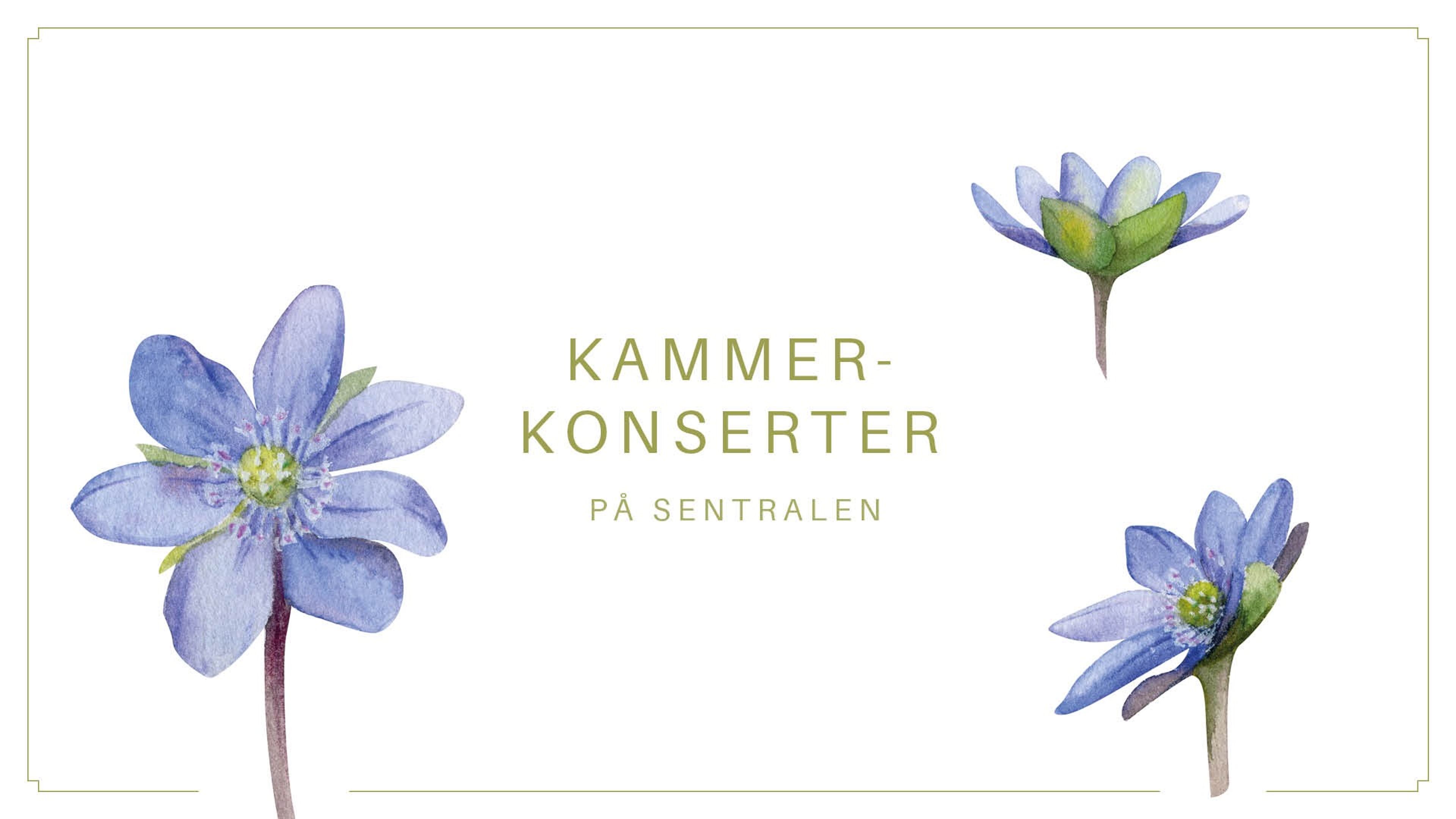 Promotional graphic for Lunsjkonsert på Sentralen: Brahms cellosonate i e-moll