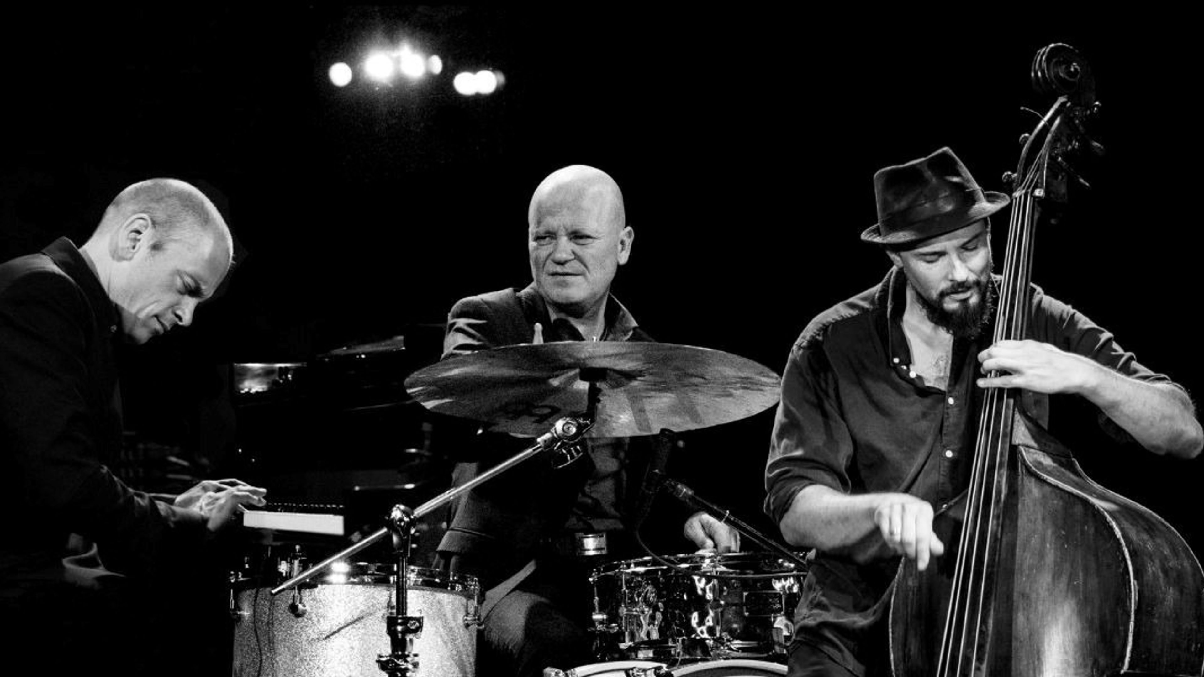 Promotional graphic for Tord Gustavsen Trio