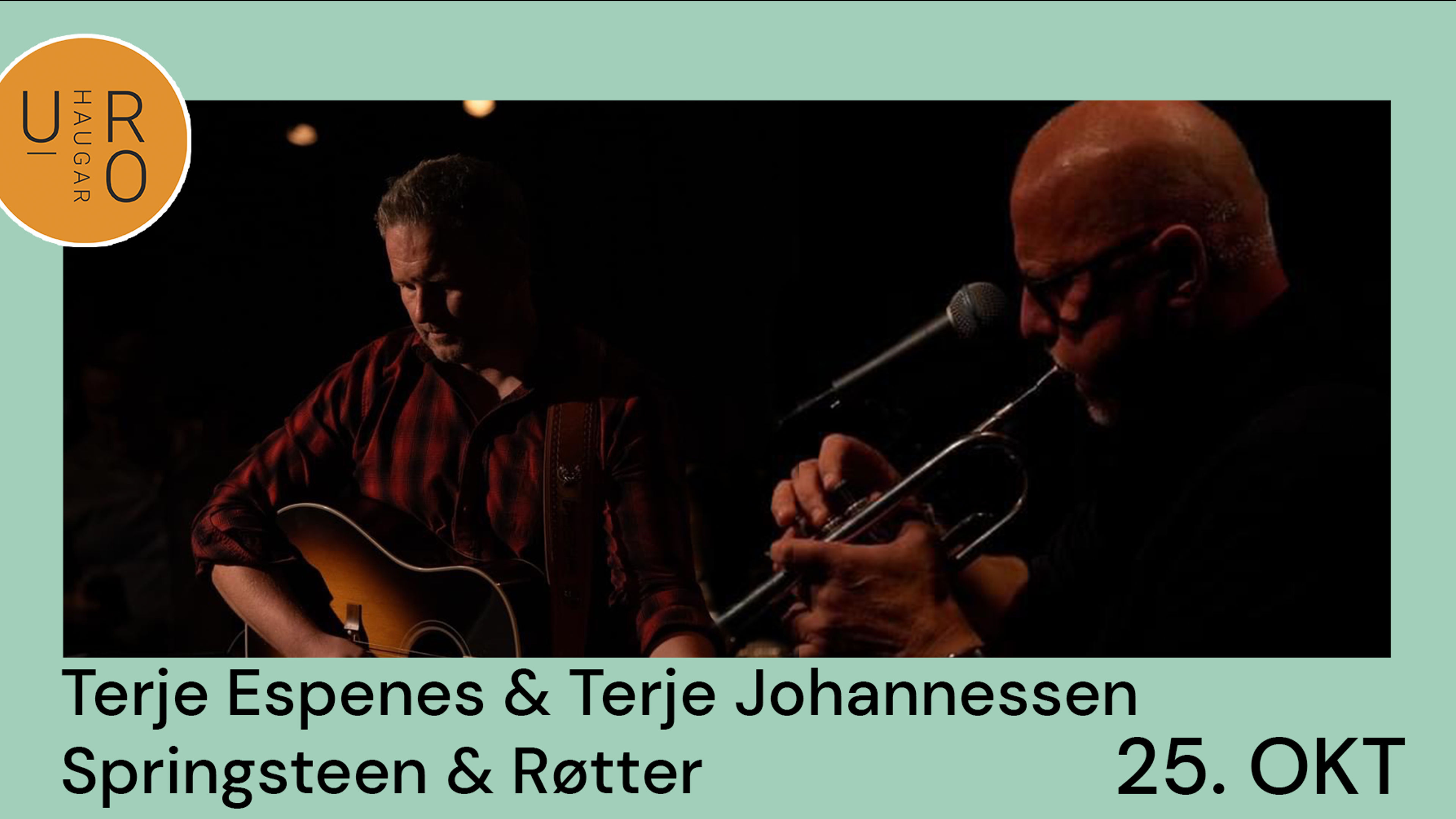 Promotional graphic for Terje Espenes & Terje Johannessen - Springsteen & Røtter