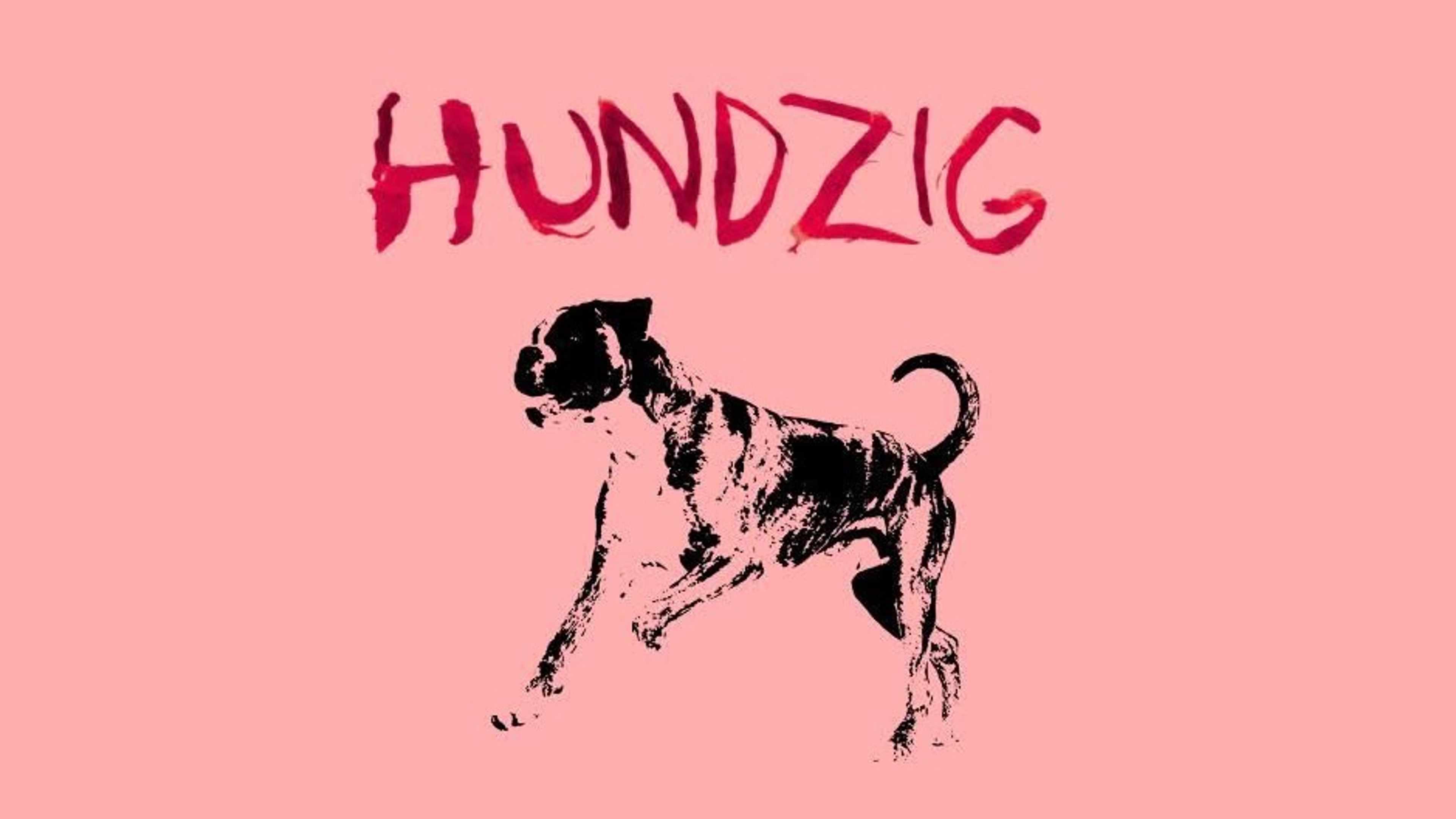 Promotional graphic for Live : HUNDZIG @ Dattera