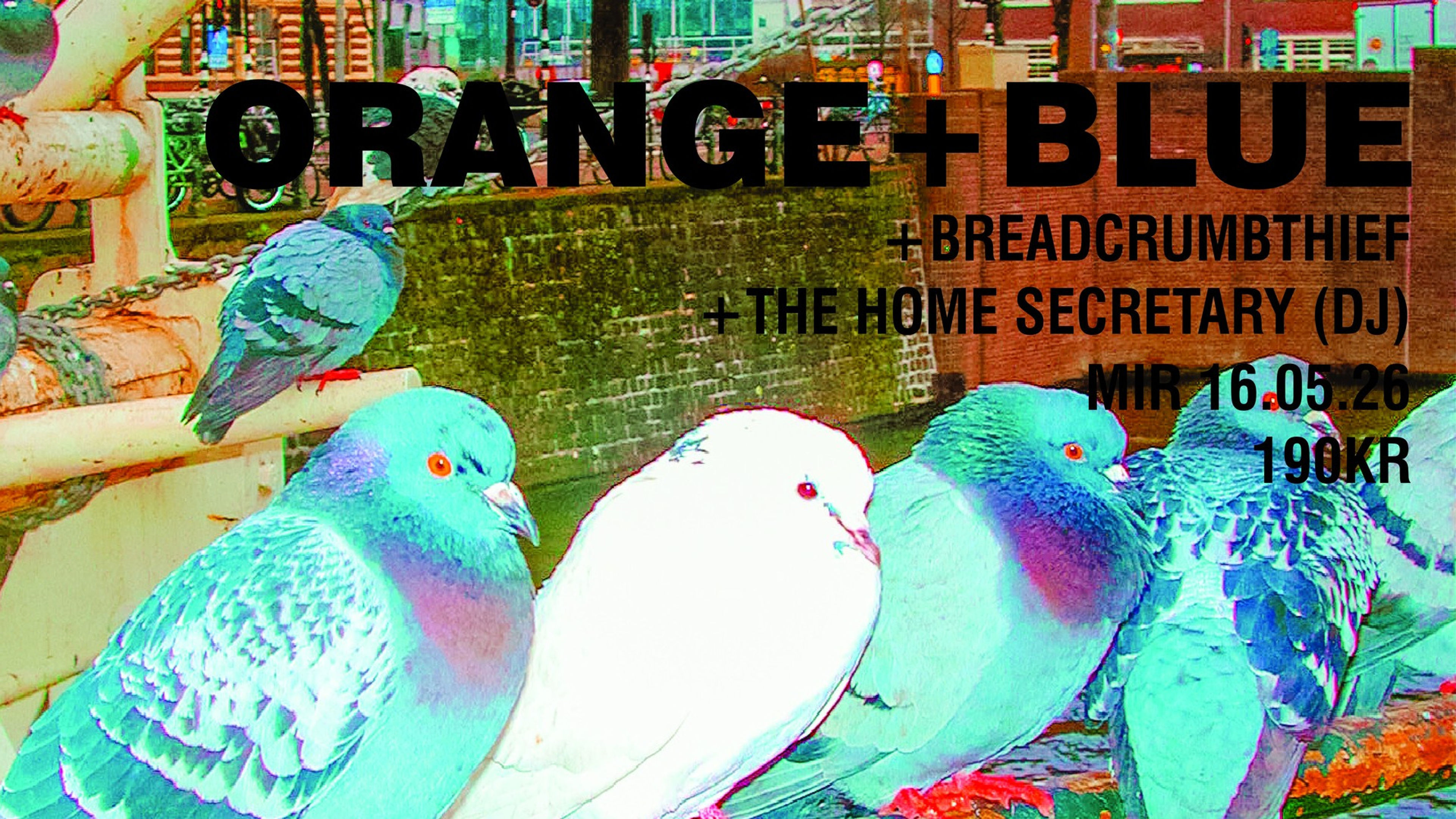 Promotional graphic for ORANGE+BLUE AT MIR // OBSCURE PERVERSIONS #1