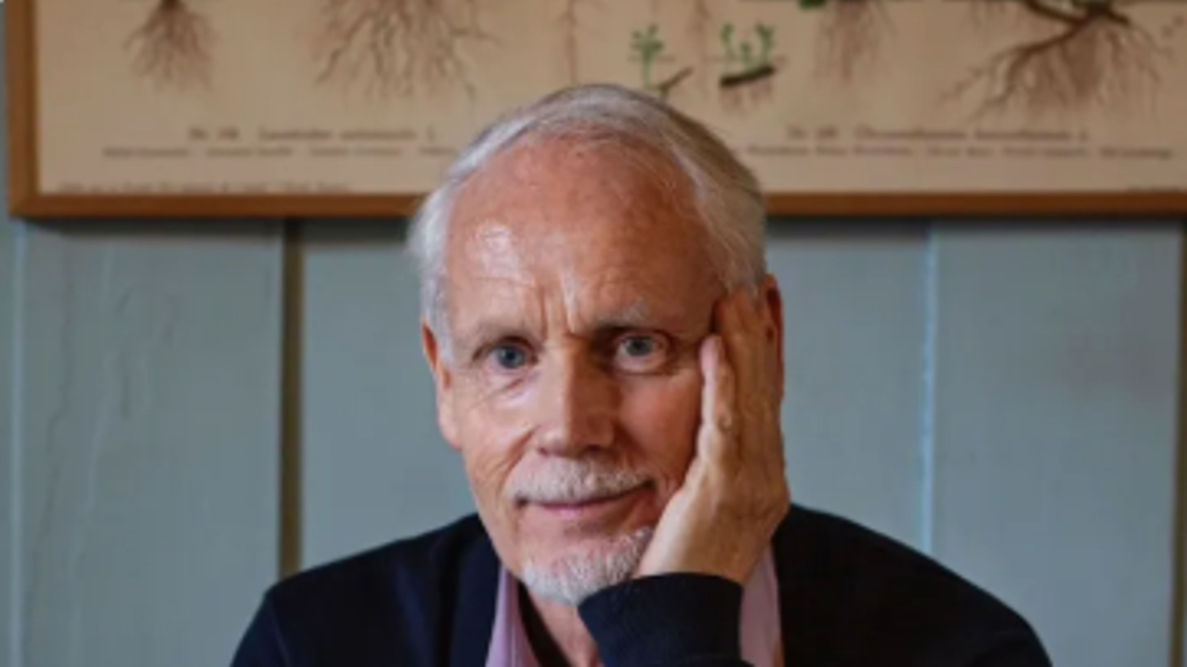 Promotiv grafikk for Ingvard Wilhelmsen - Sjef I Ditt Eget Liv