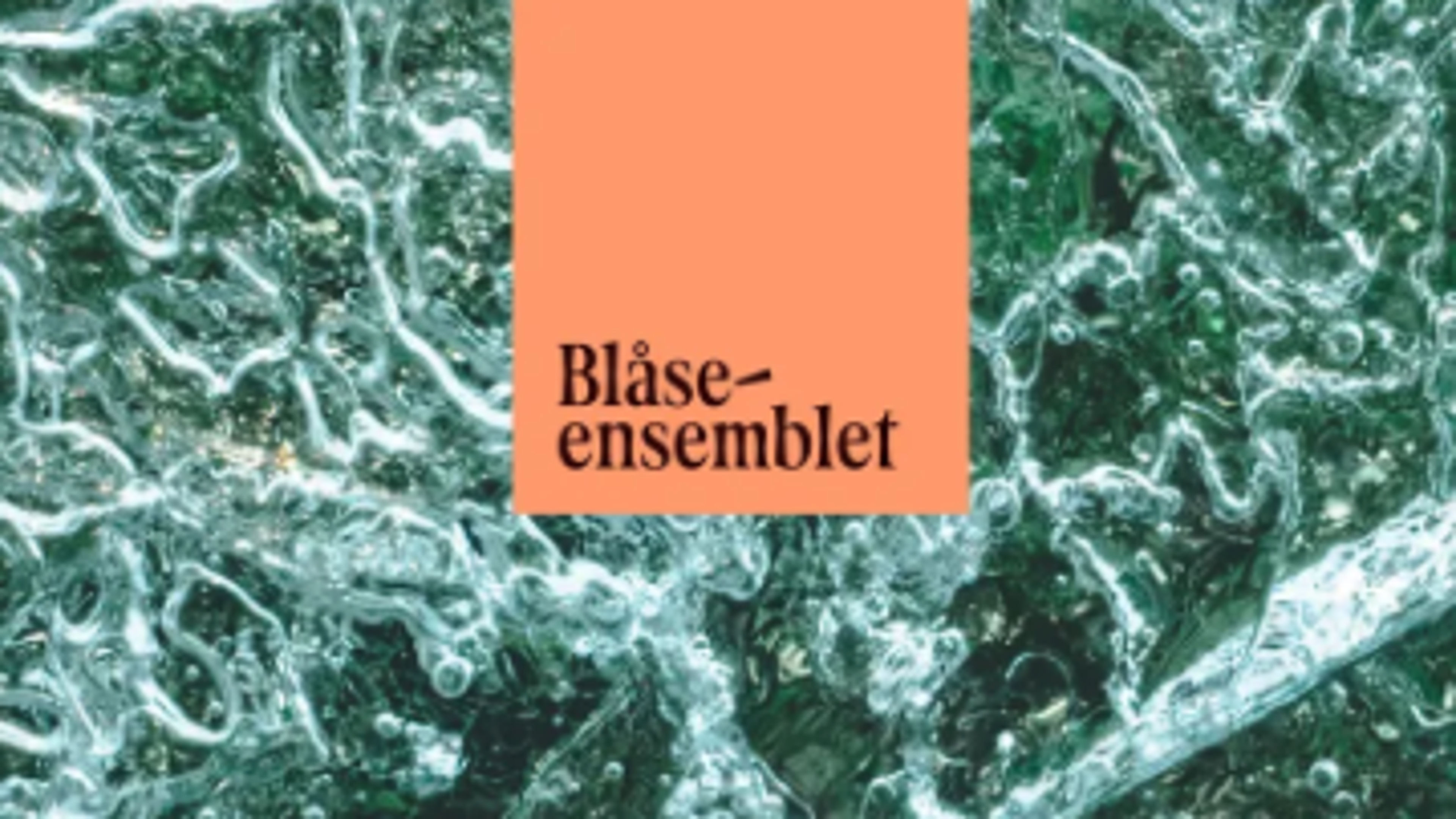 Promotiv grafikk for VinterRiss: Ung Ø Blås 2026