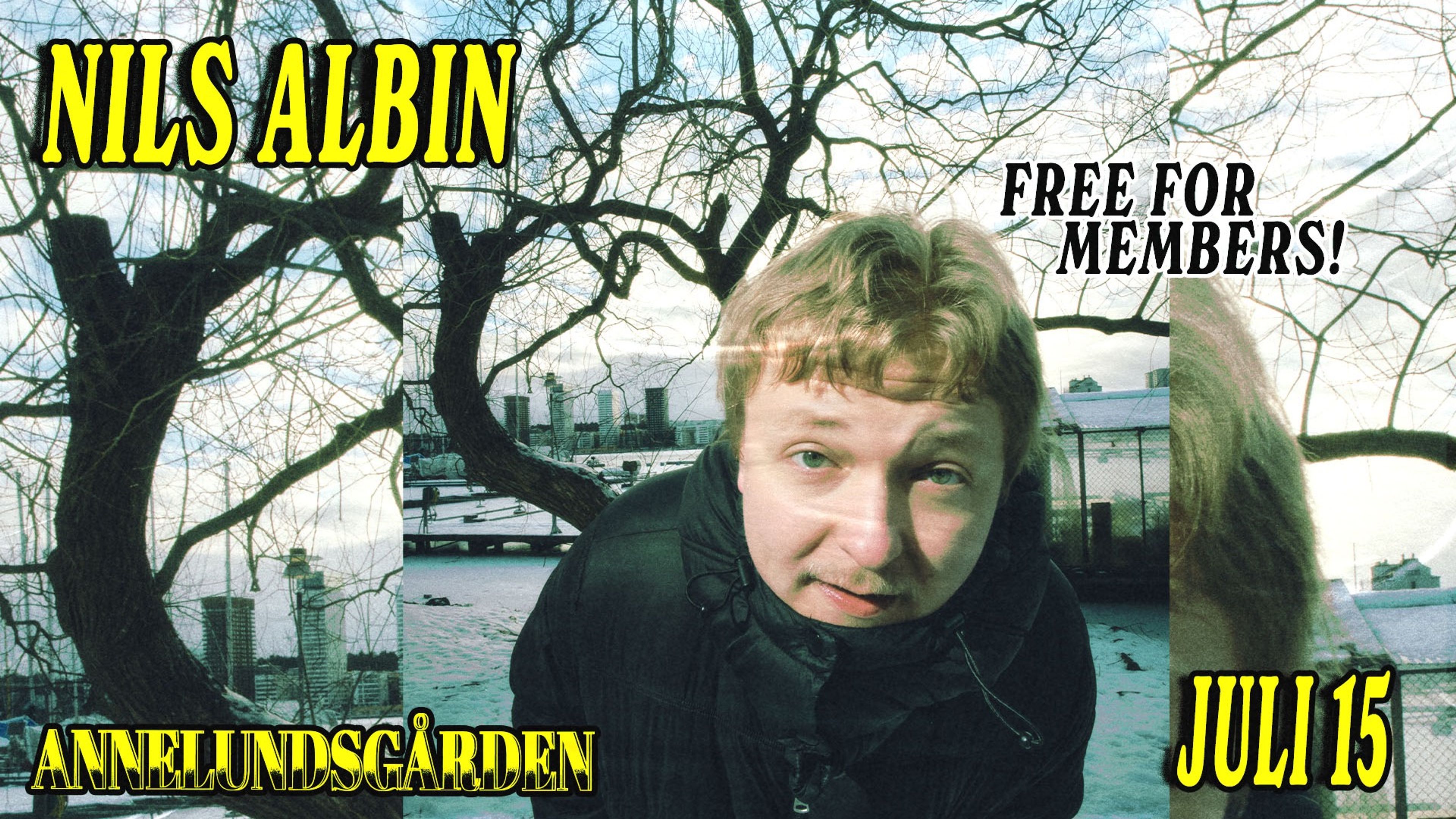 Promotional graphic for Nils Albin