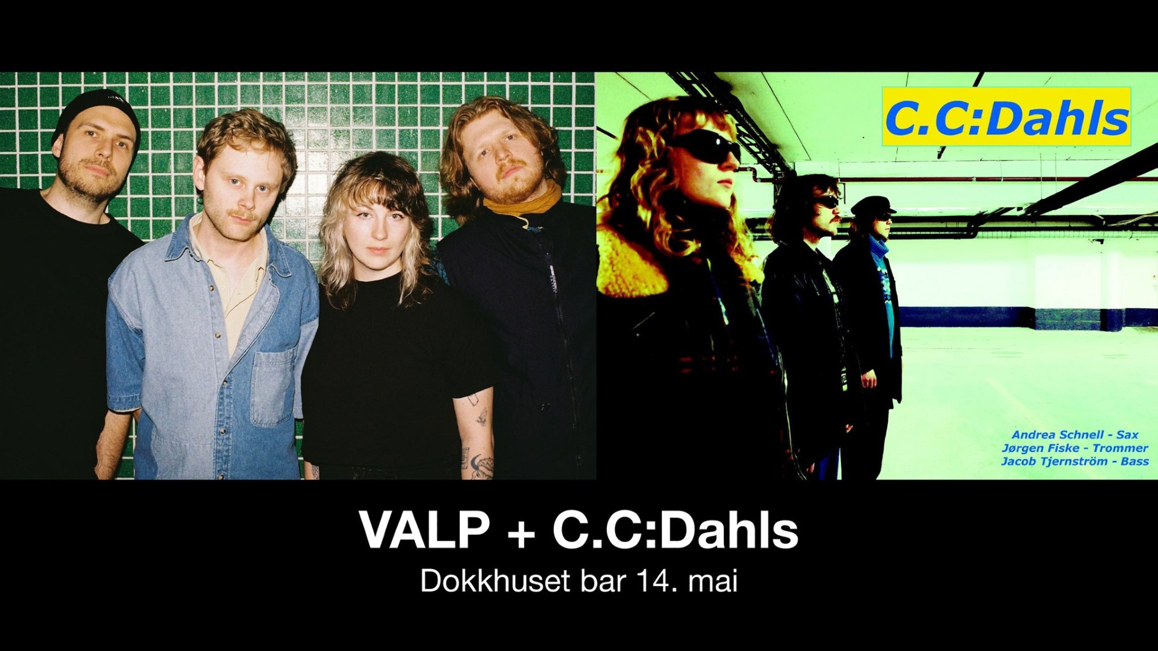 Promotional graphic for VALP + CC Dahls
