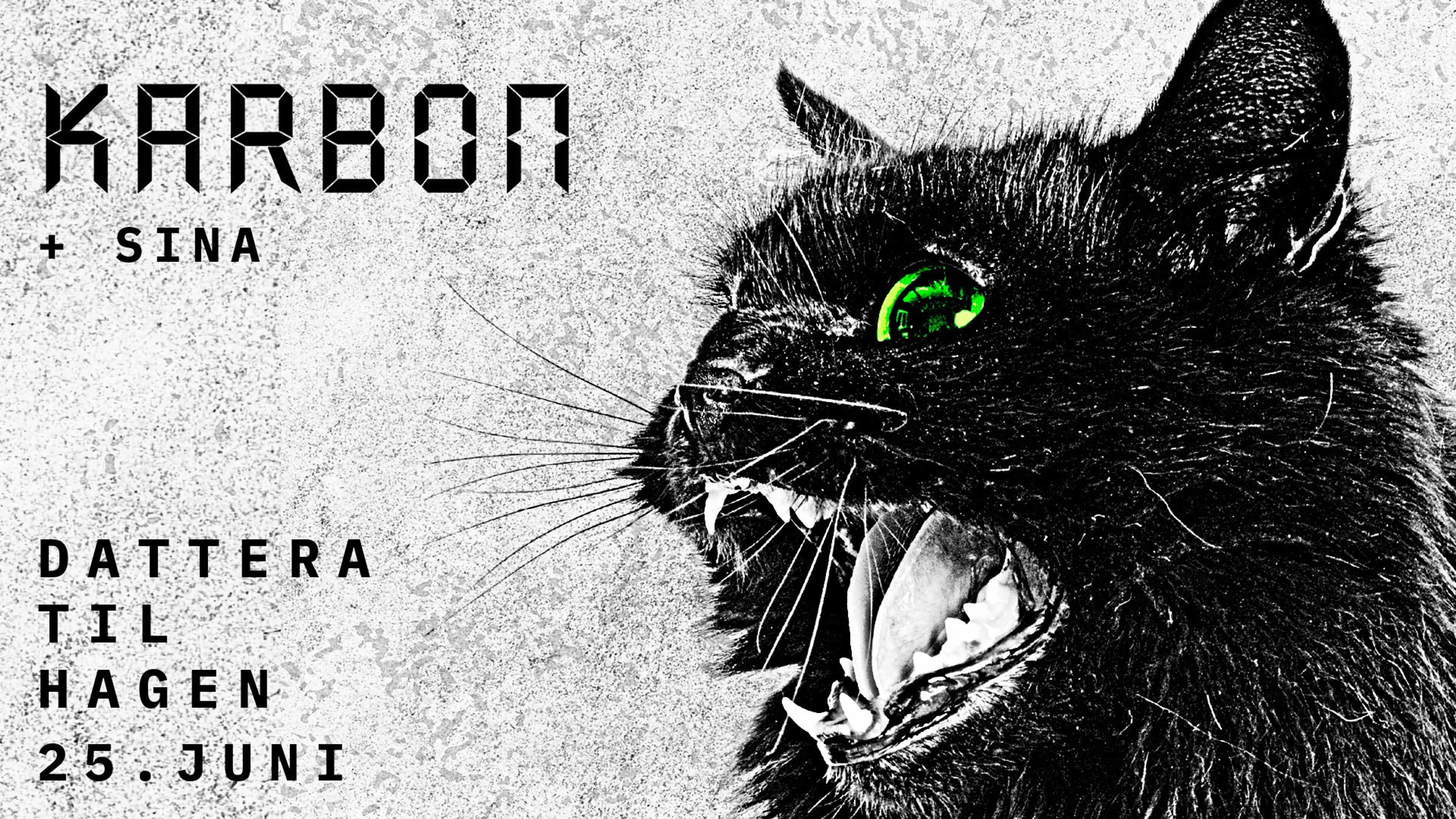 Promotional graphic for KARBON