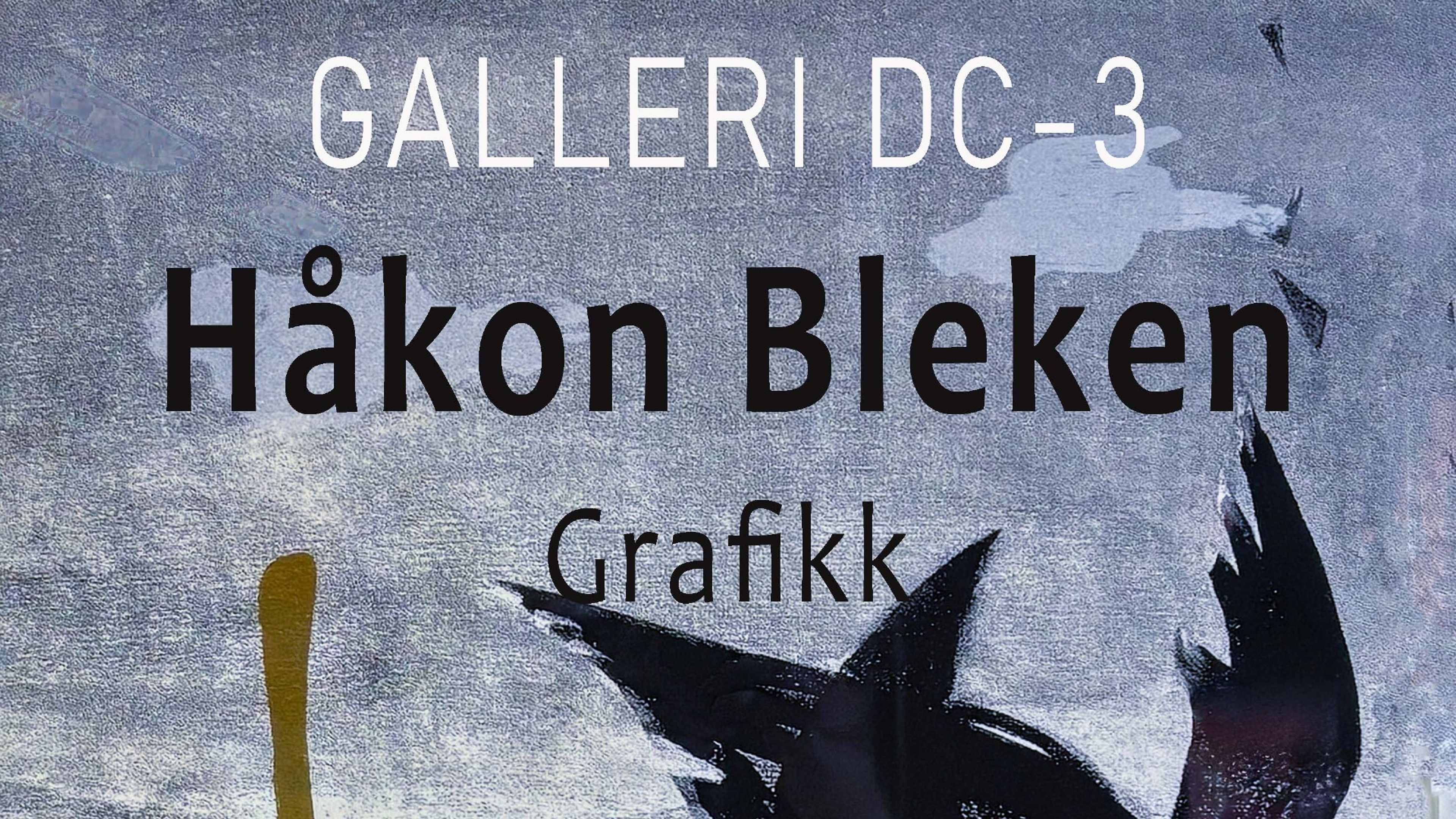 Promotional graphic for UTSTILLINGSÅPNING Håkon Bleken // Galleri DC-3