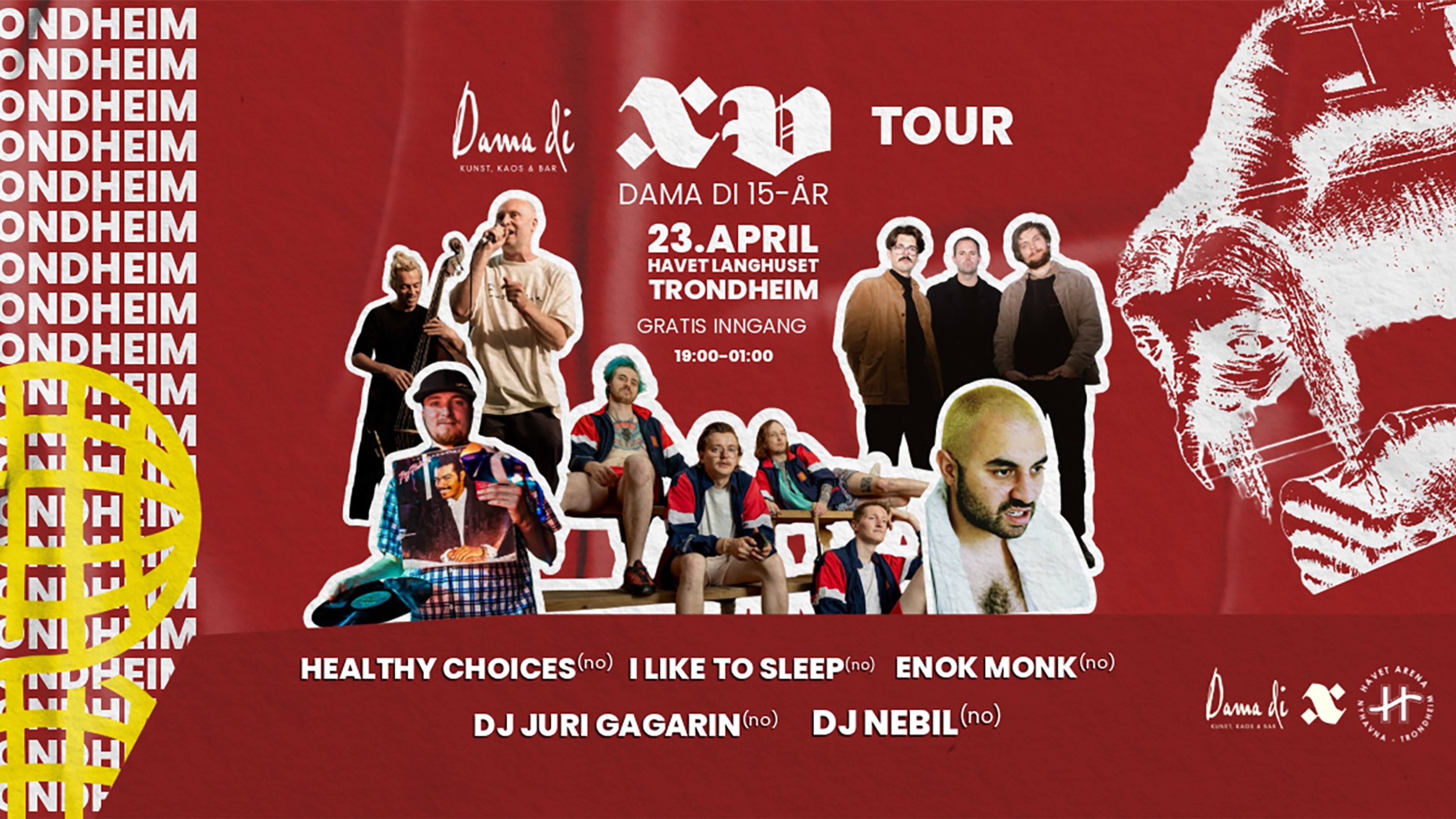 Promotional graphic for DAMA DI XV TOUR | HAVET ARENA 