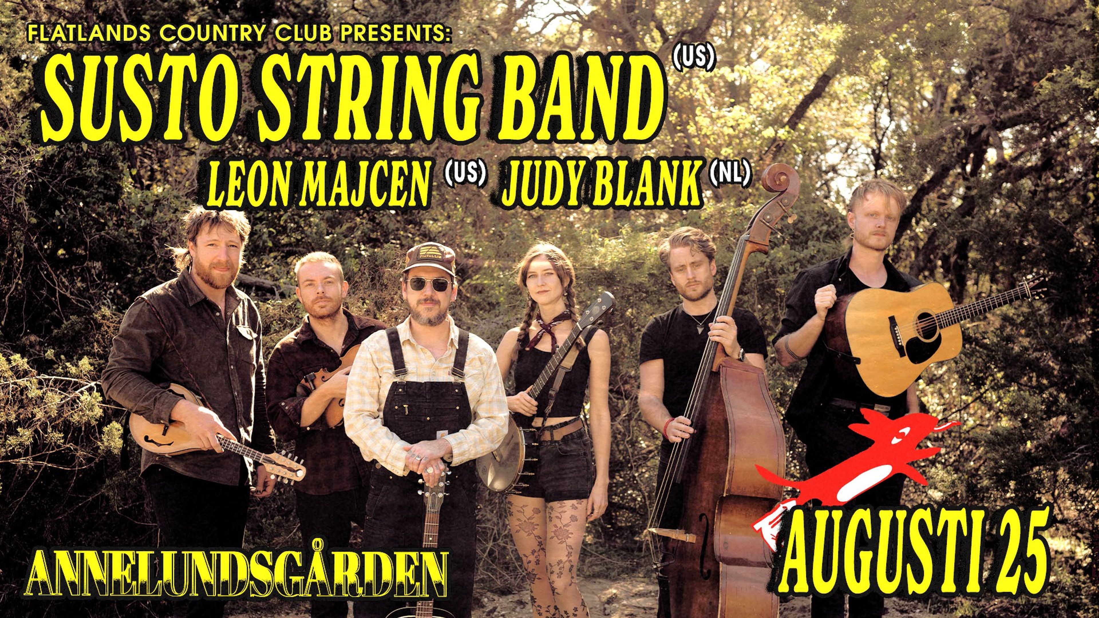Promotional graphic for Flatlands pres. Susto Stringband (US)