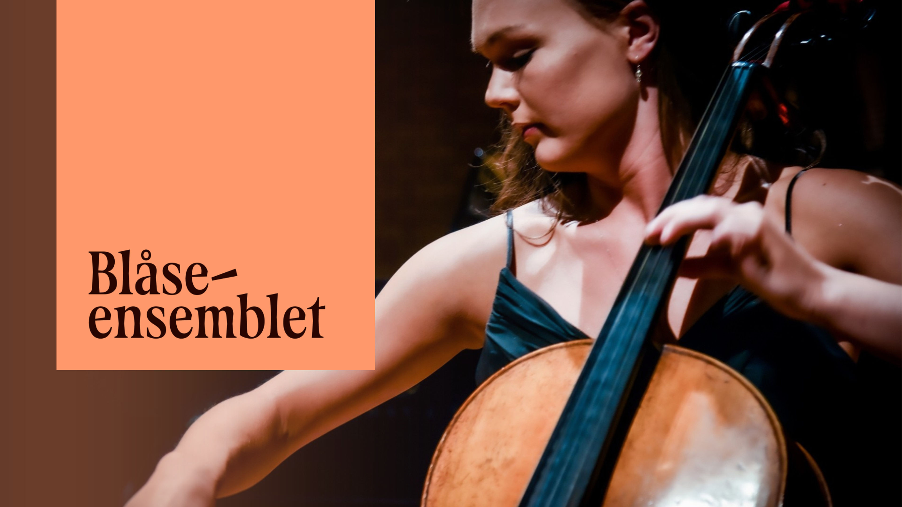 Promotiv grafikk for Haydn og Mozart