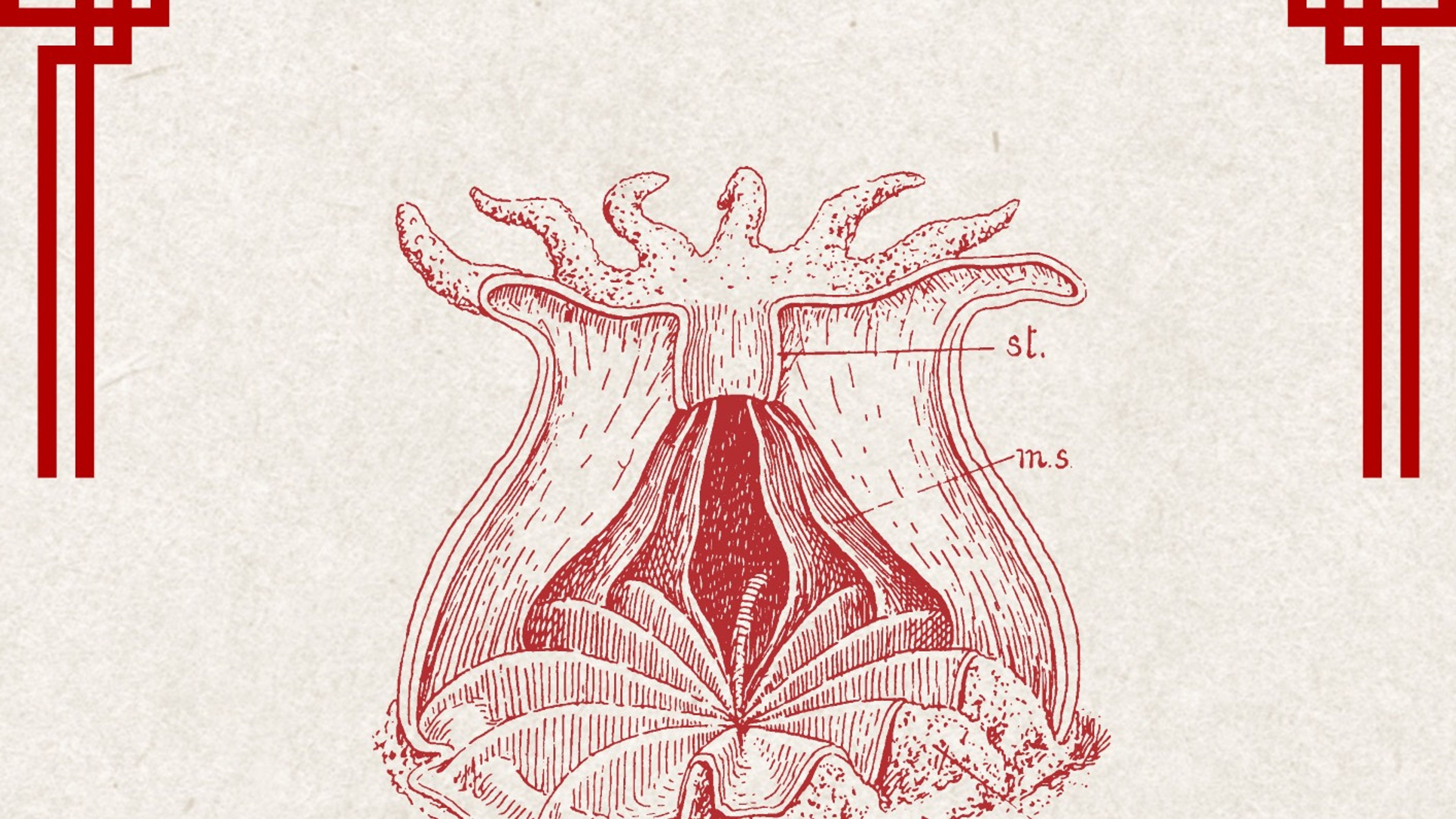 Promotional graphic for PSF: A BURIAL AT SEA // NEWHVN