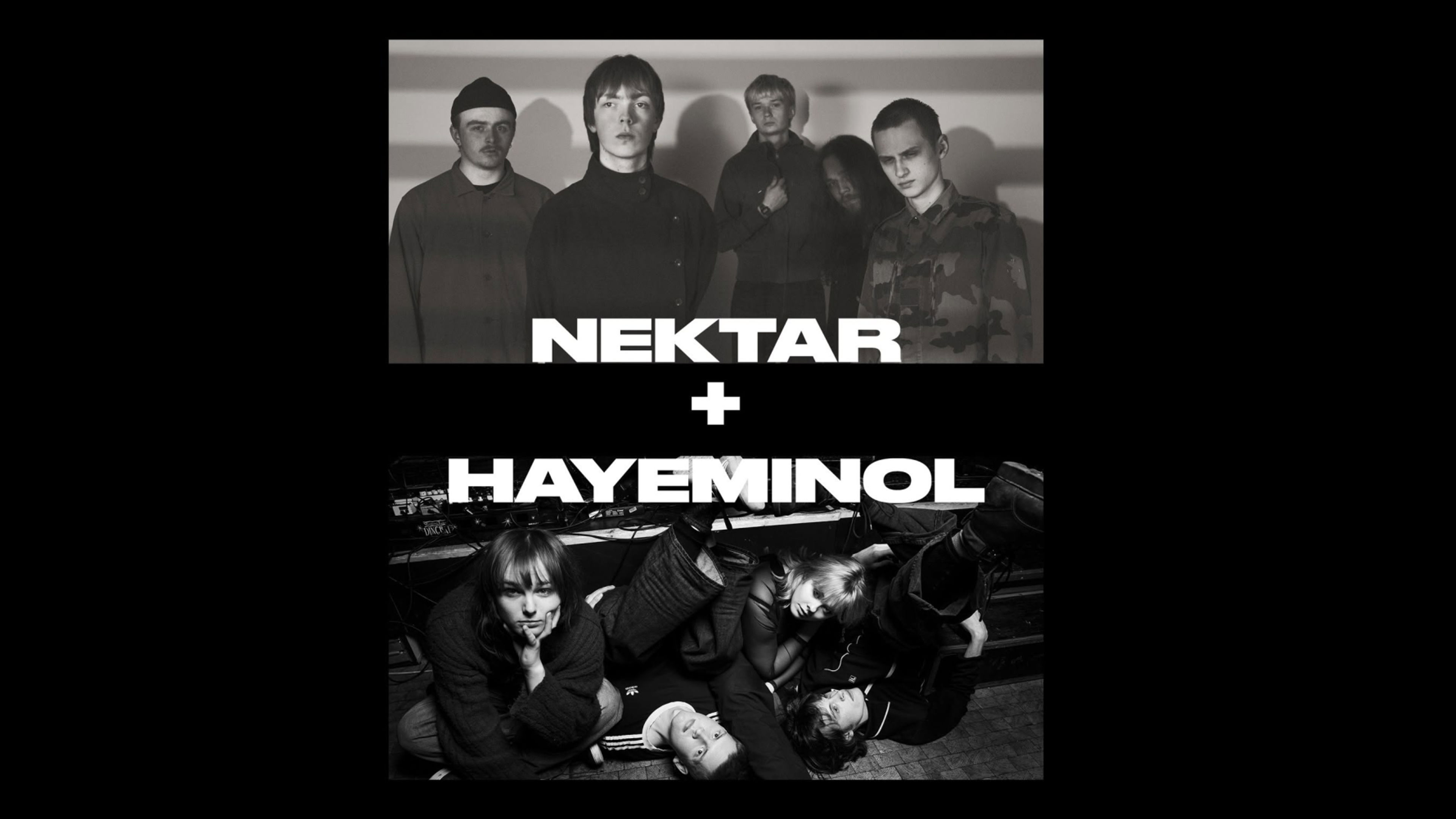 Promotiv grafikk for Nektar + Hayeminol