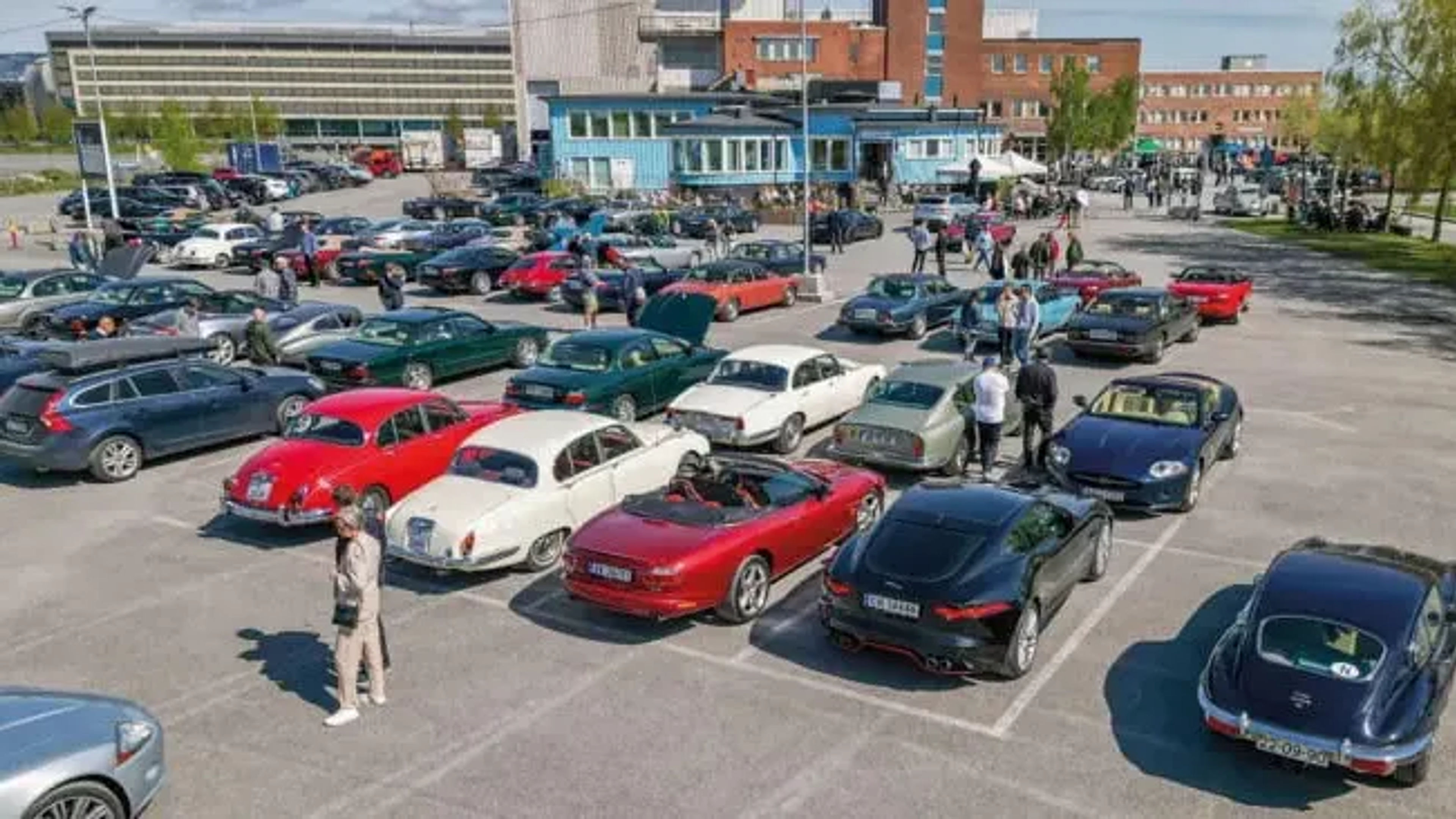 Promotional graphic for ÅRETS VÅRMØNSTRING: Norsk Jaguarklubb